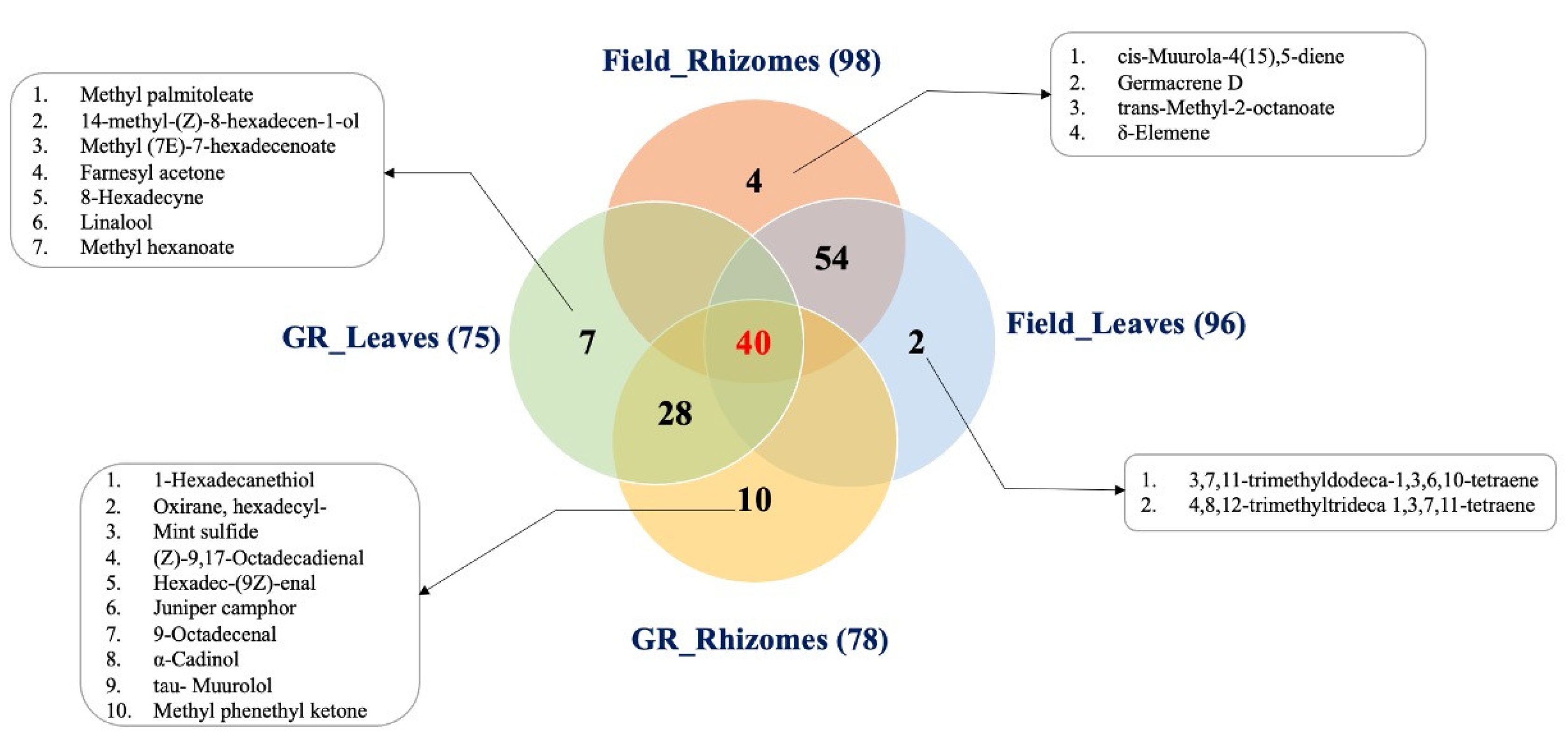Metabolites 13 00651 g003