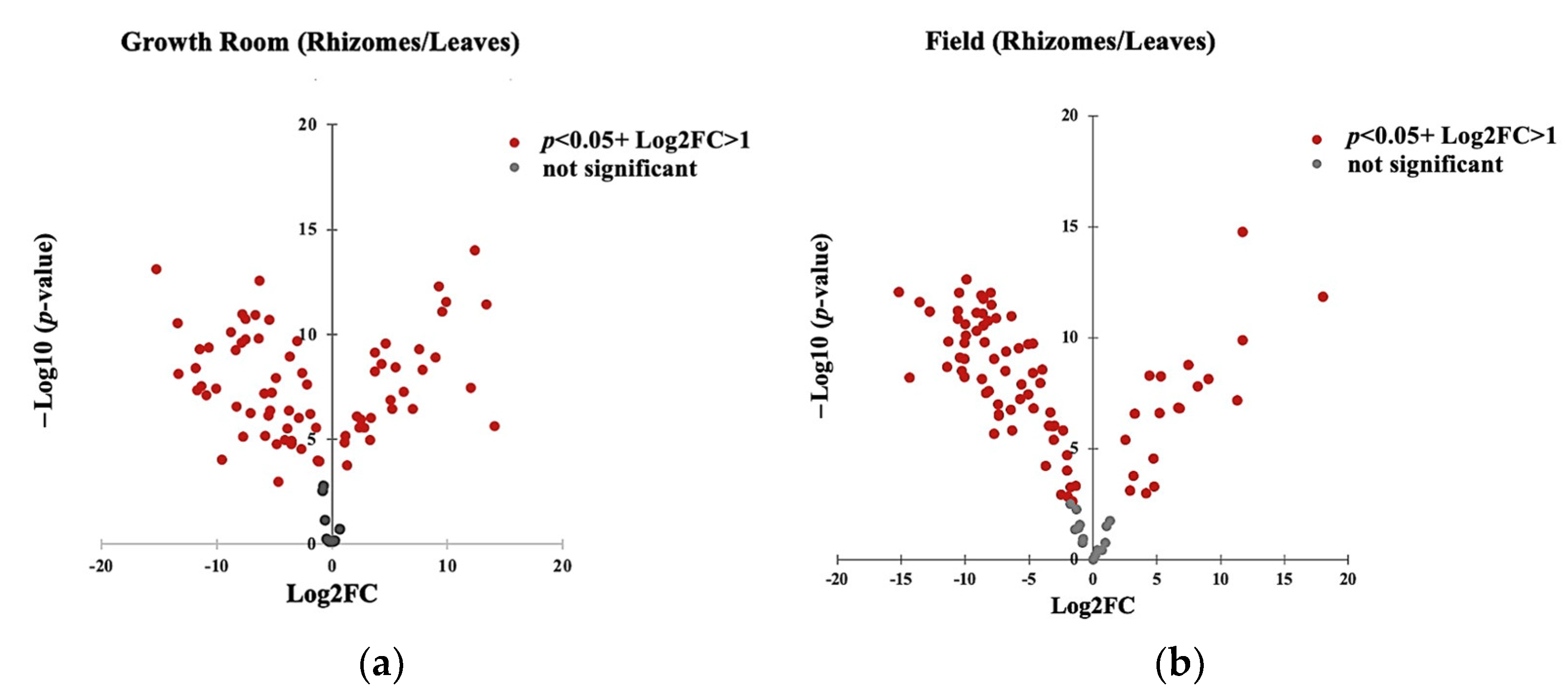 Metabolites 13 00651 g005