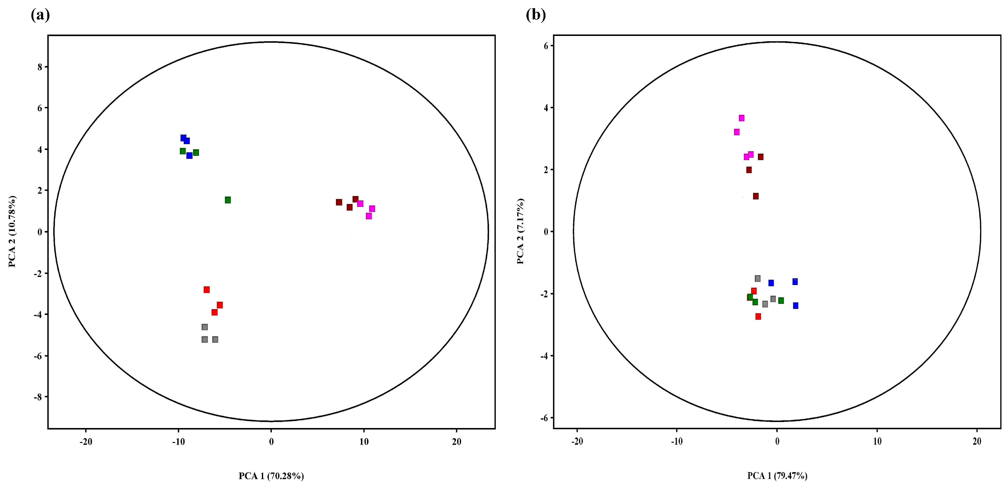 Metabolites 13 00654 g004