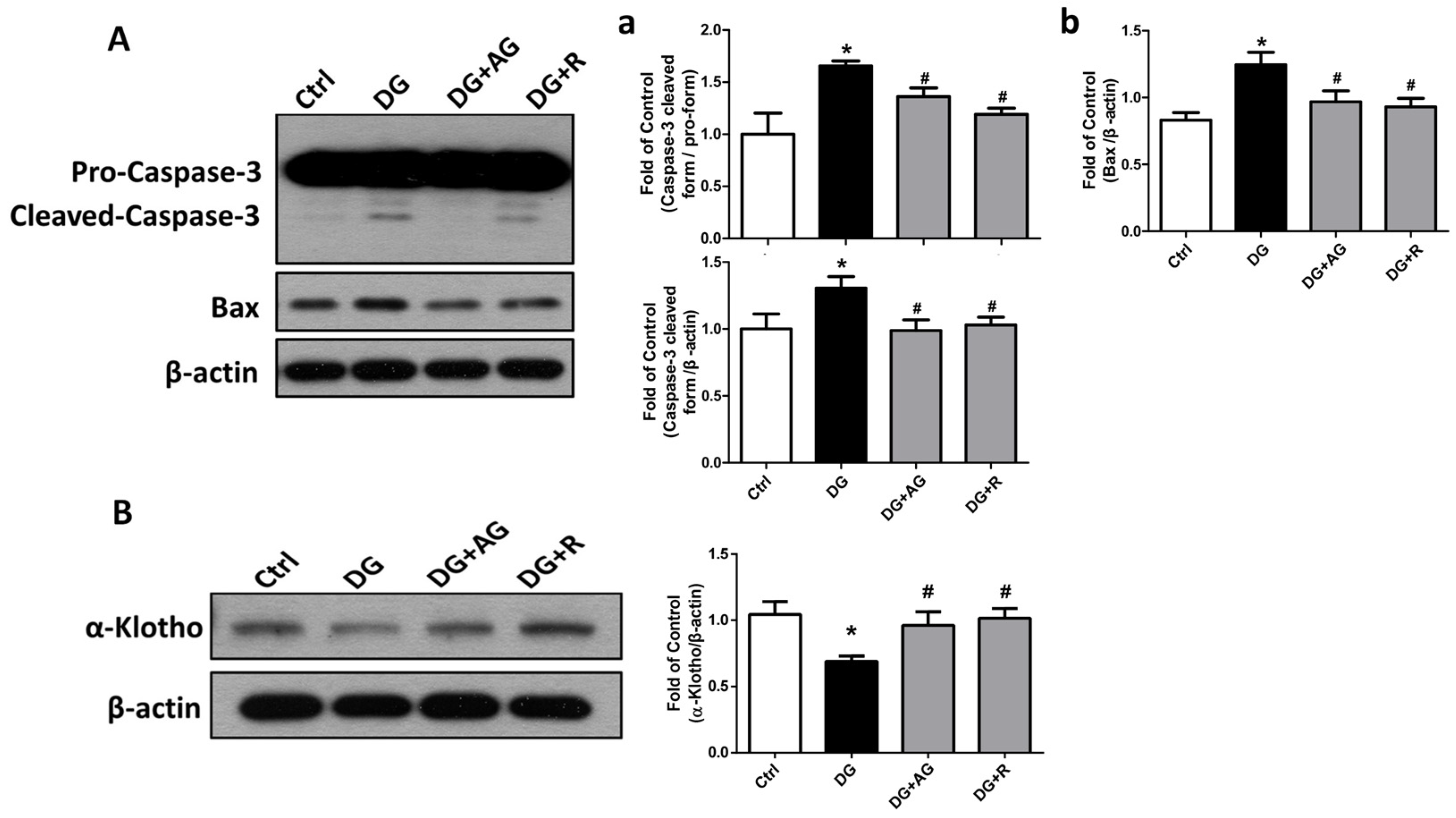 Metabolites 13 00655 g007