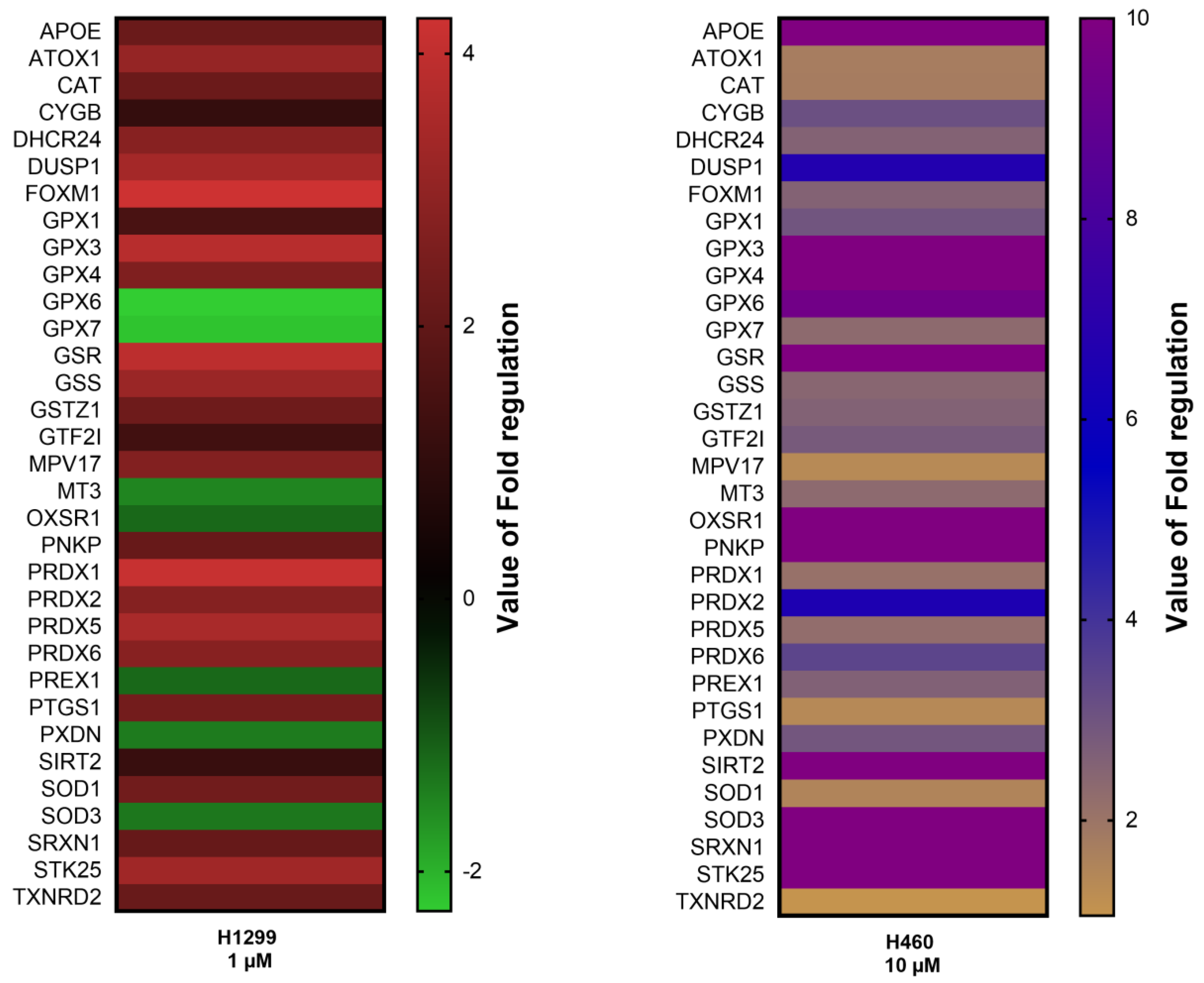 Metabolites 13 00656 g002