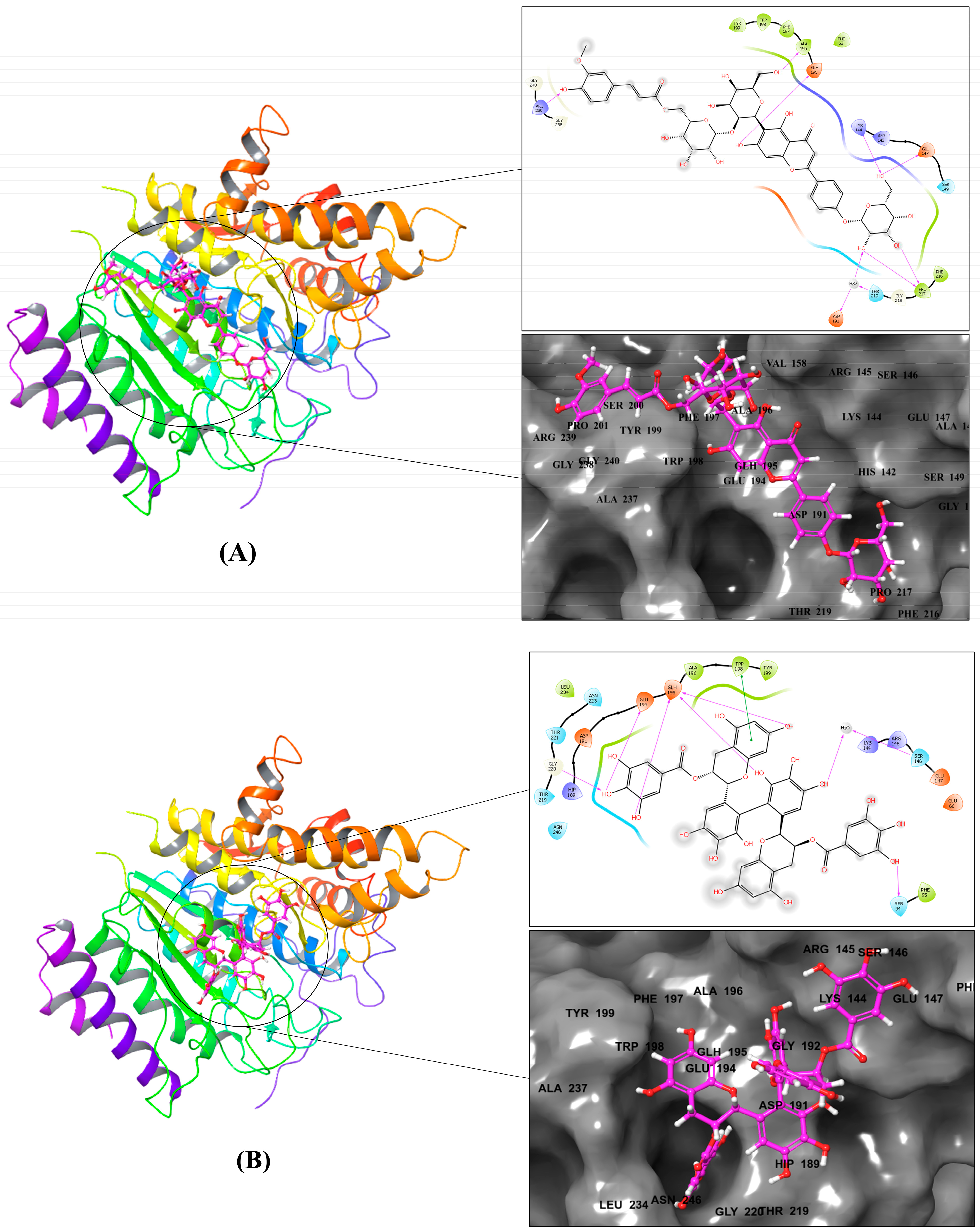 Metabolites 13 00658 g002a