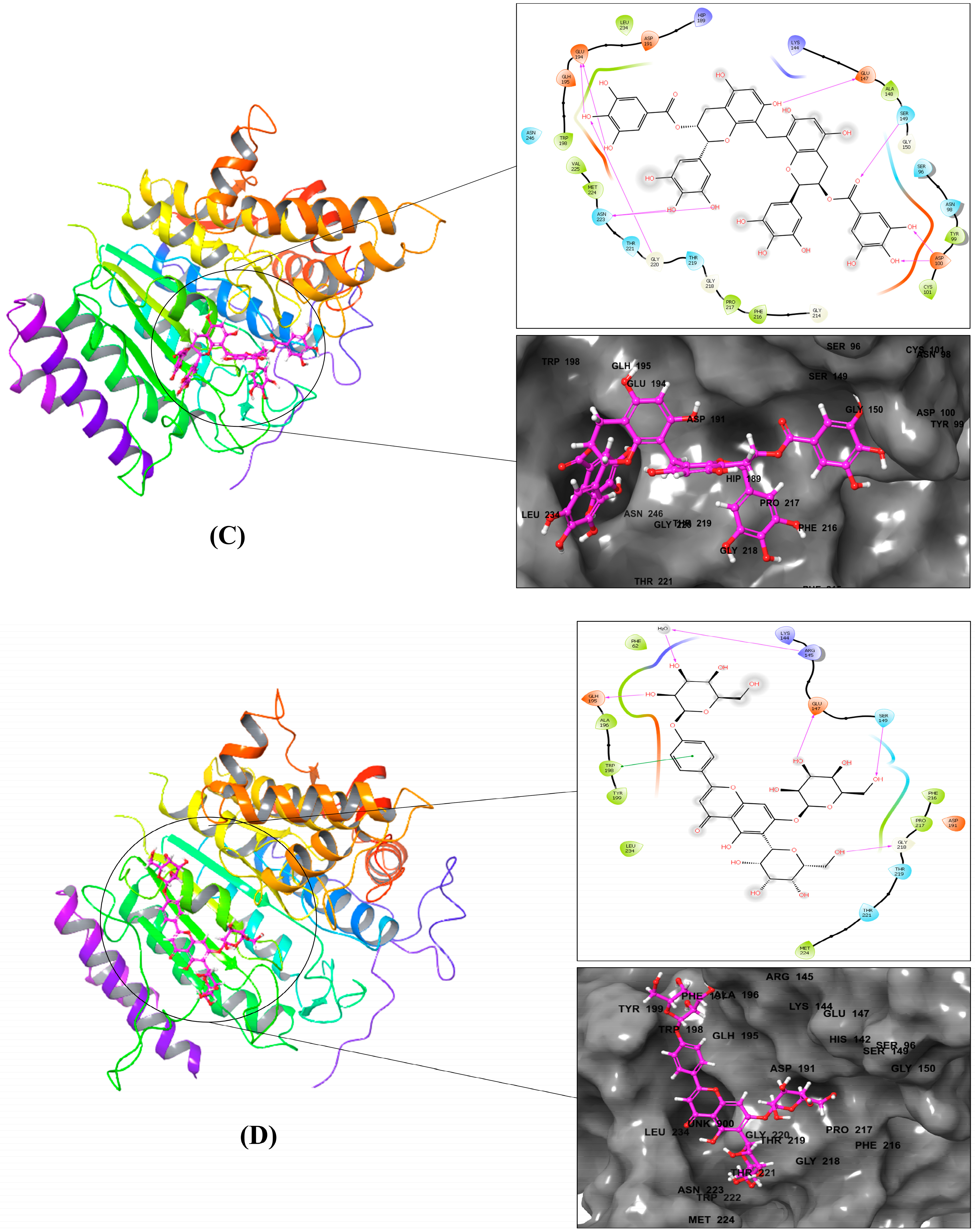 Metabolites 13 00658 g002b