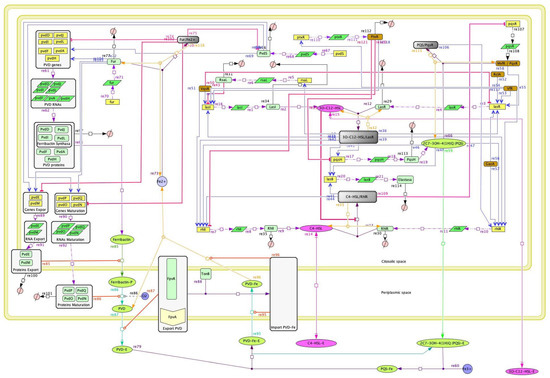 Metabolites 13 00659 g002