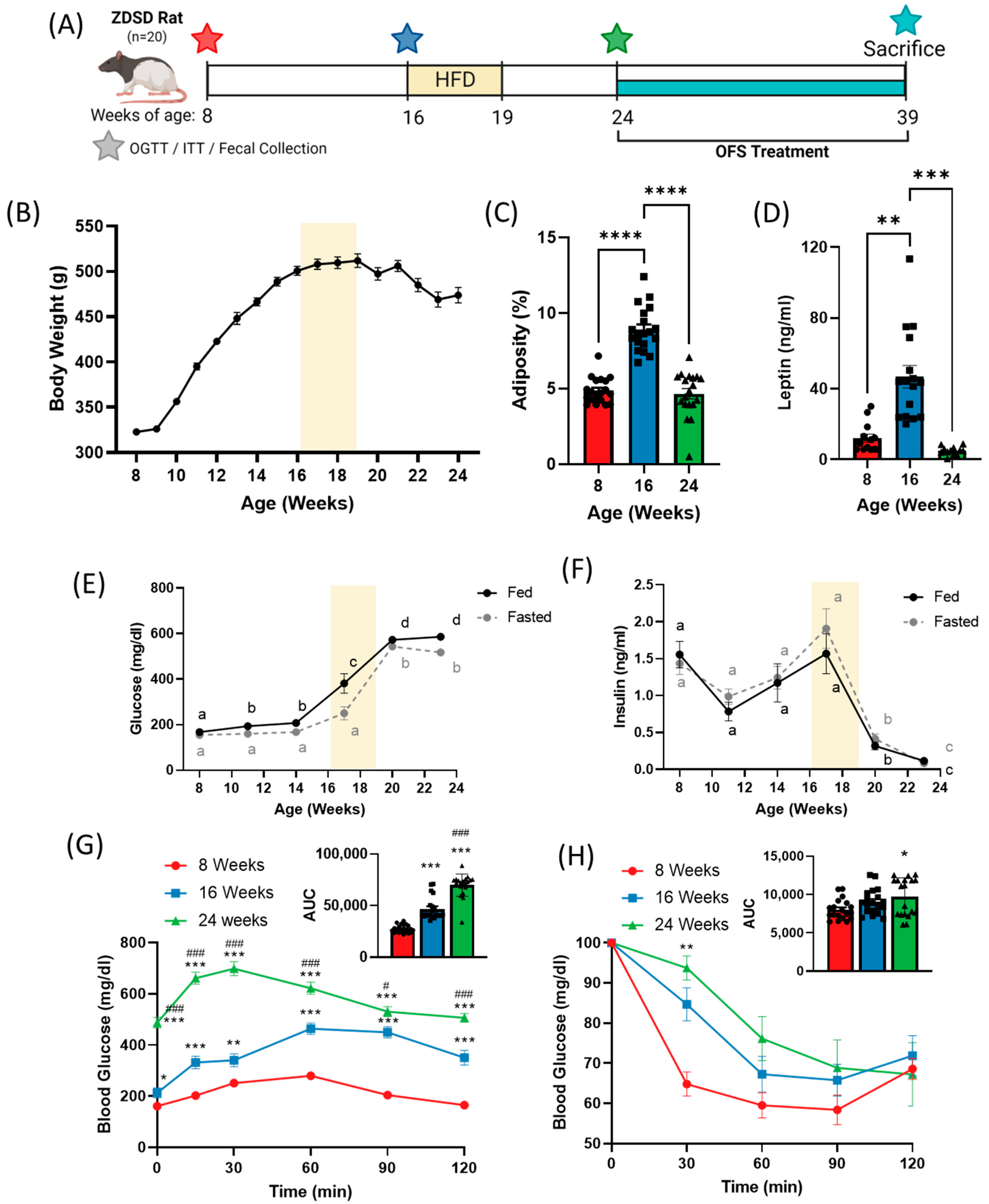 Metabolites 13 00660 g001