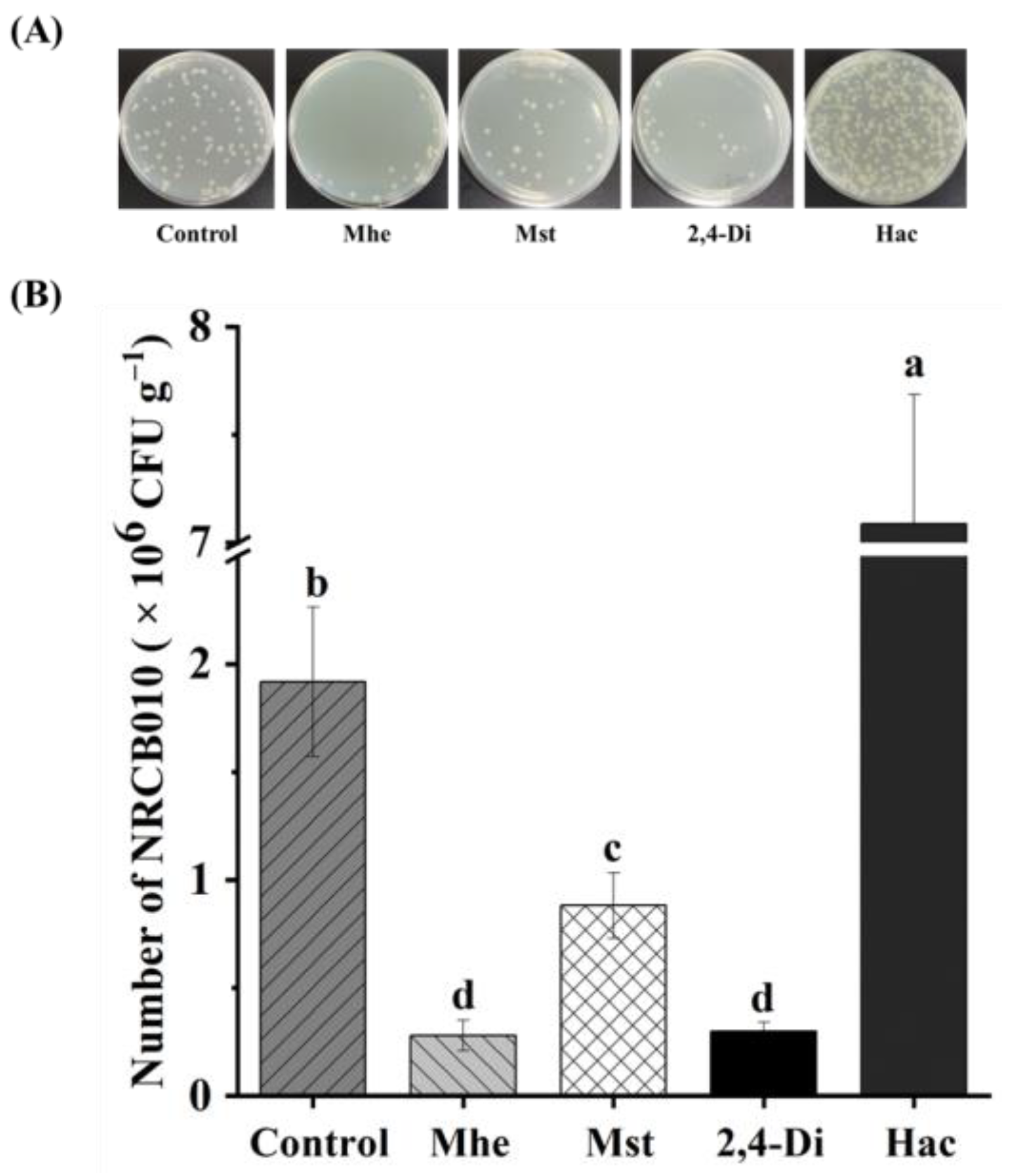 Metabolites 13 00664 g004