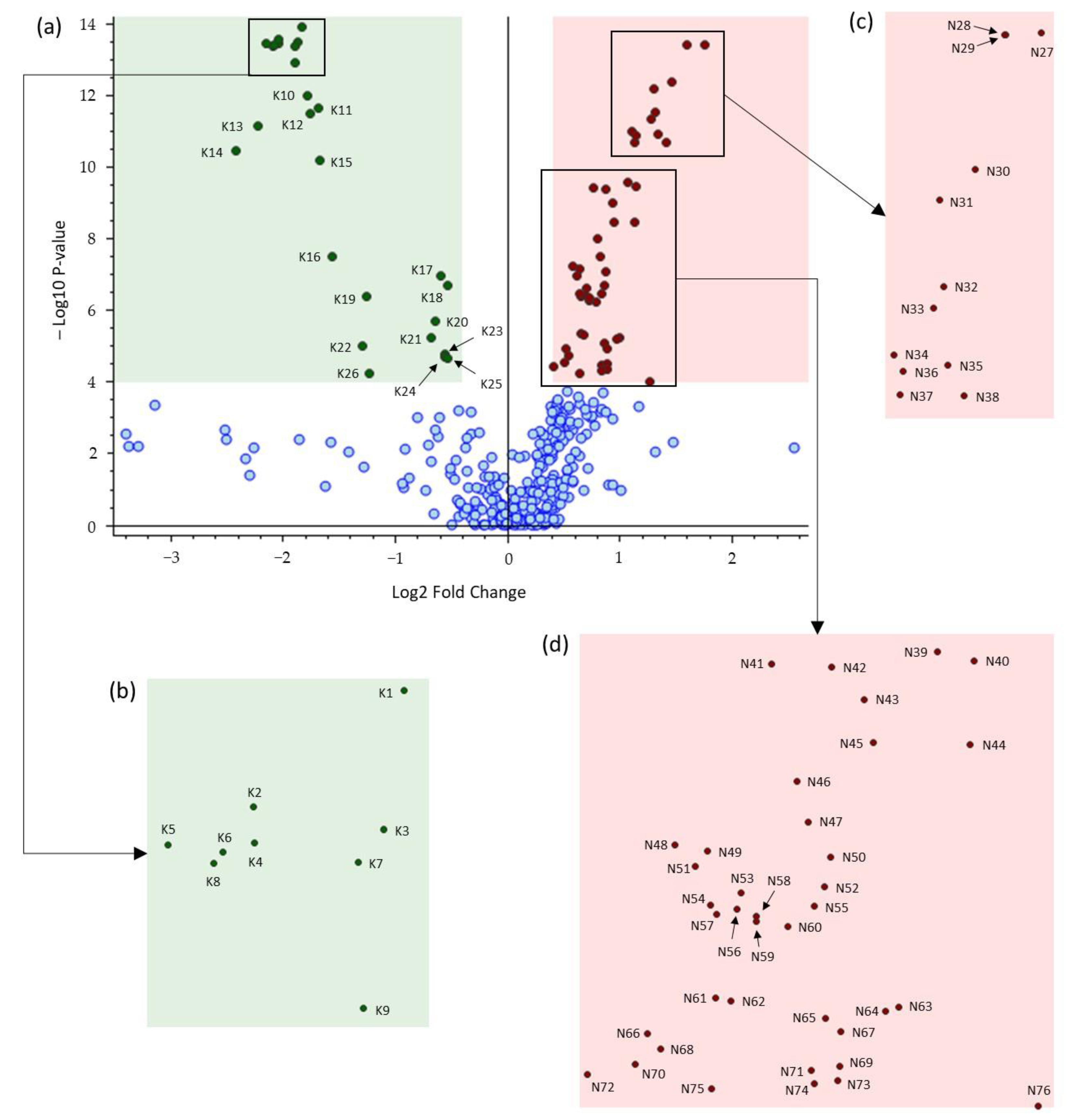Metabolites 13 00667 g004