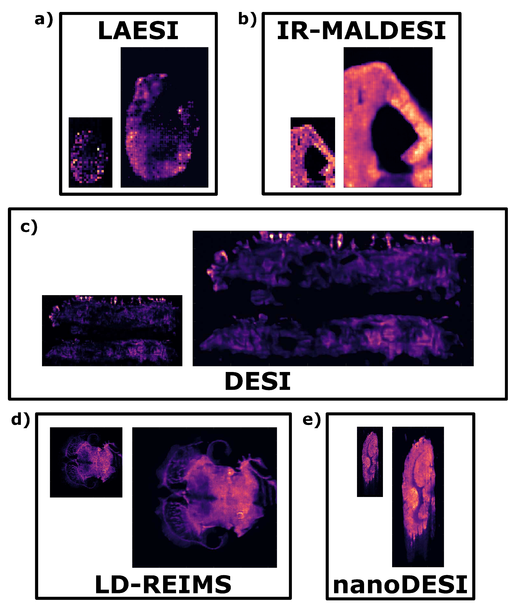 Metabolites 13 00669 g004