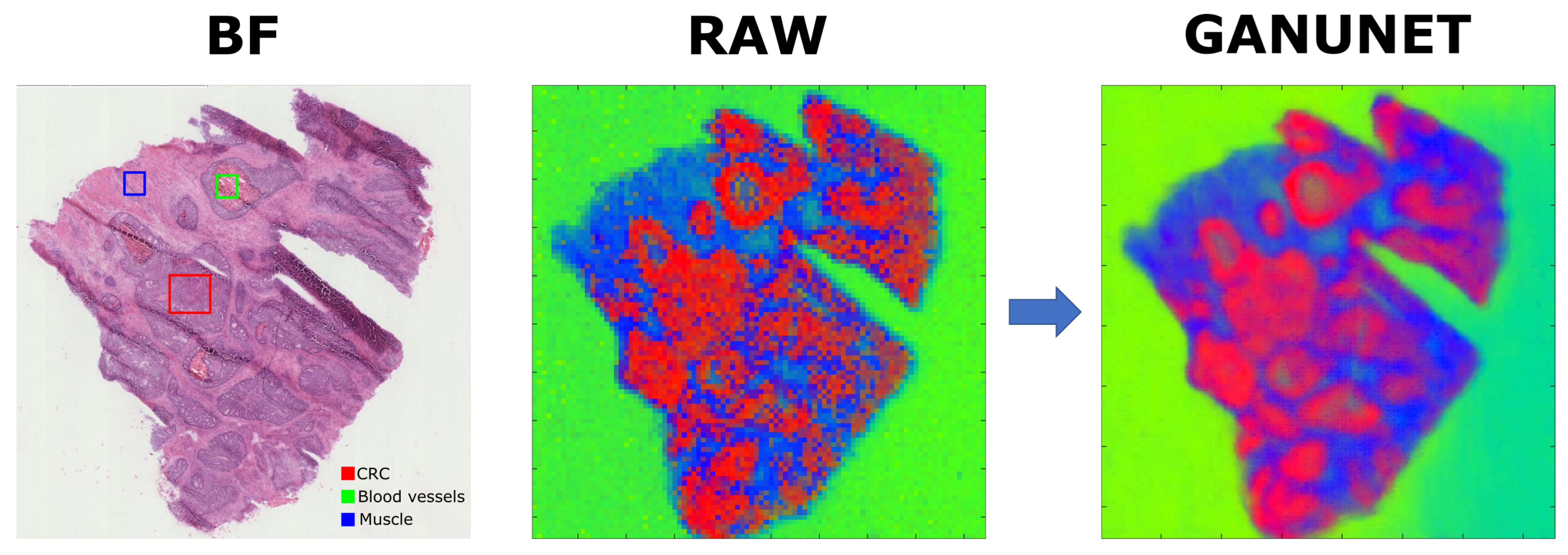 Metabolites 13 00669 g006