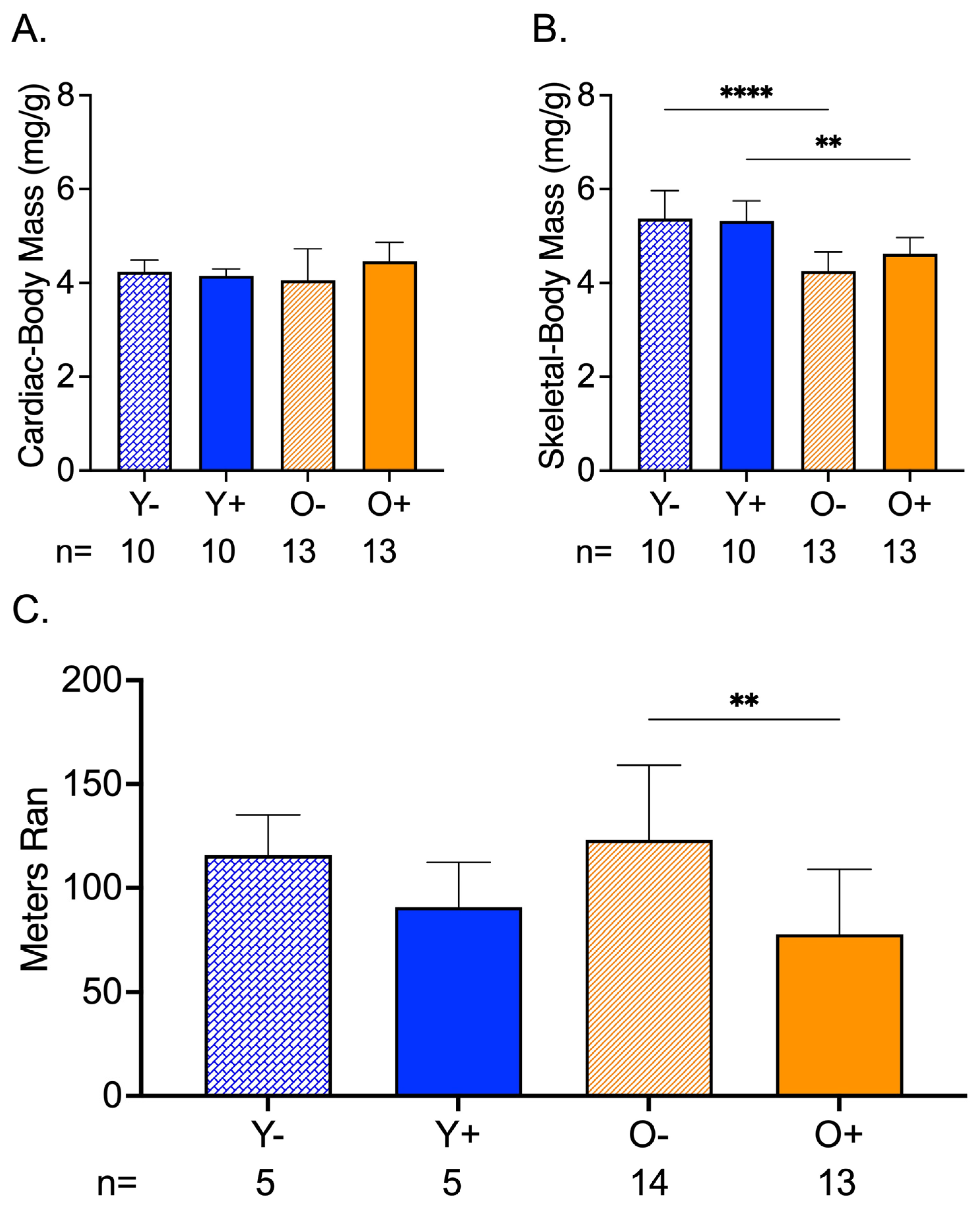 Metabolites 13 00671 g003