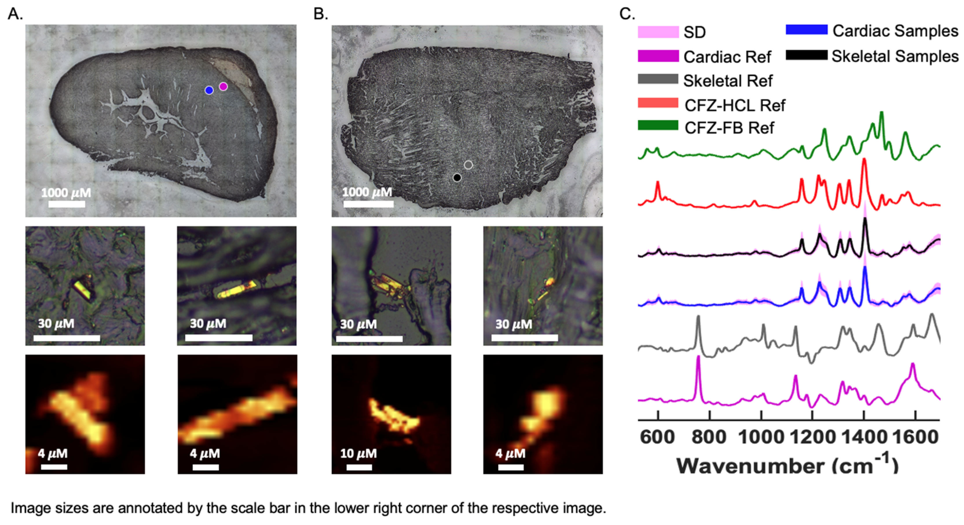 Metabolites 13 00671 g005