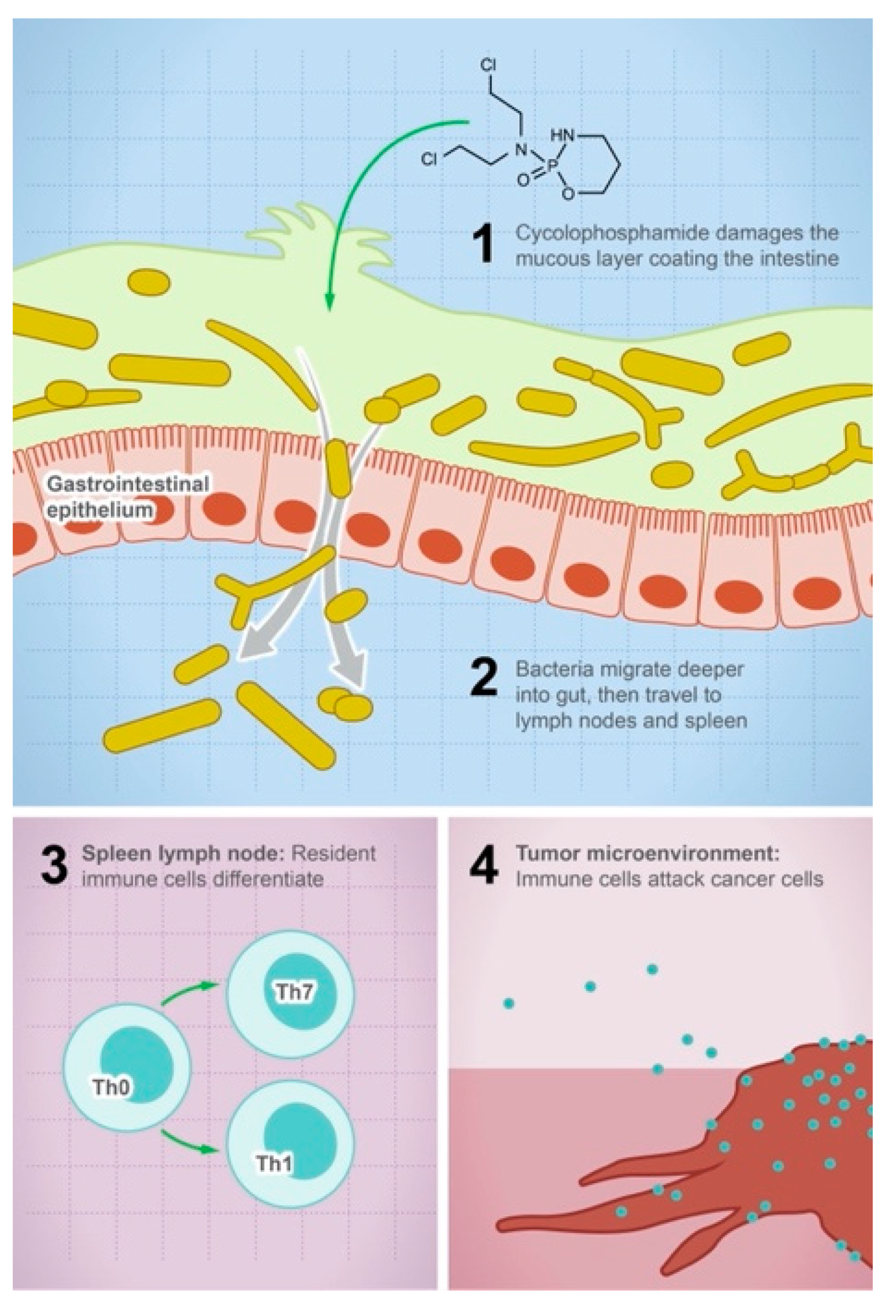 Metabolites 13 00674 g001 Metabolites 13 00674 g001