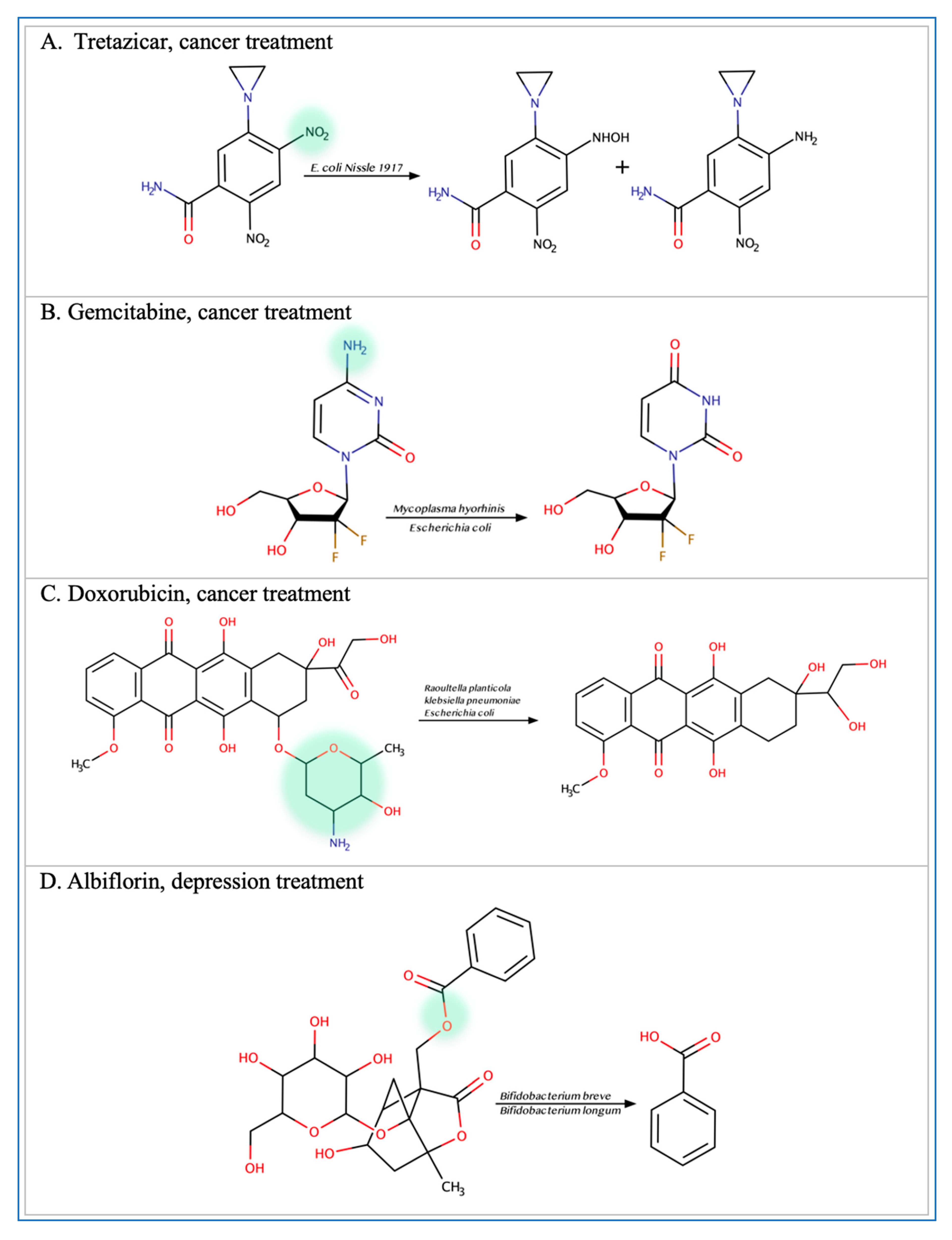 Metabolites 13 00674 g002a Metabolites 13 00674 g002a