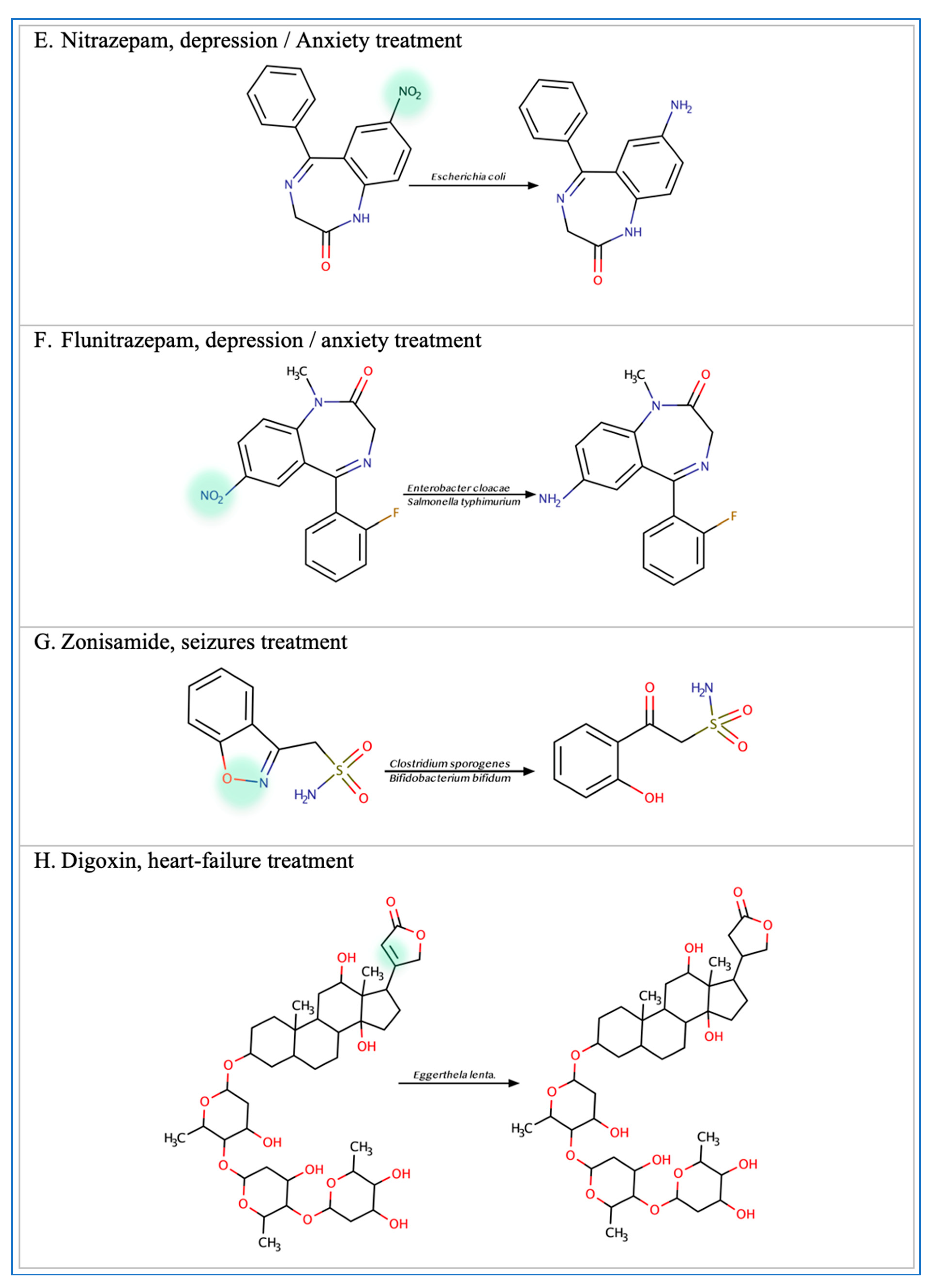 Metabolites 13 00674 g002b Metabolites 13 00674 g002b