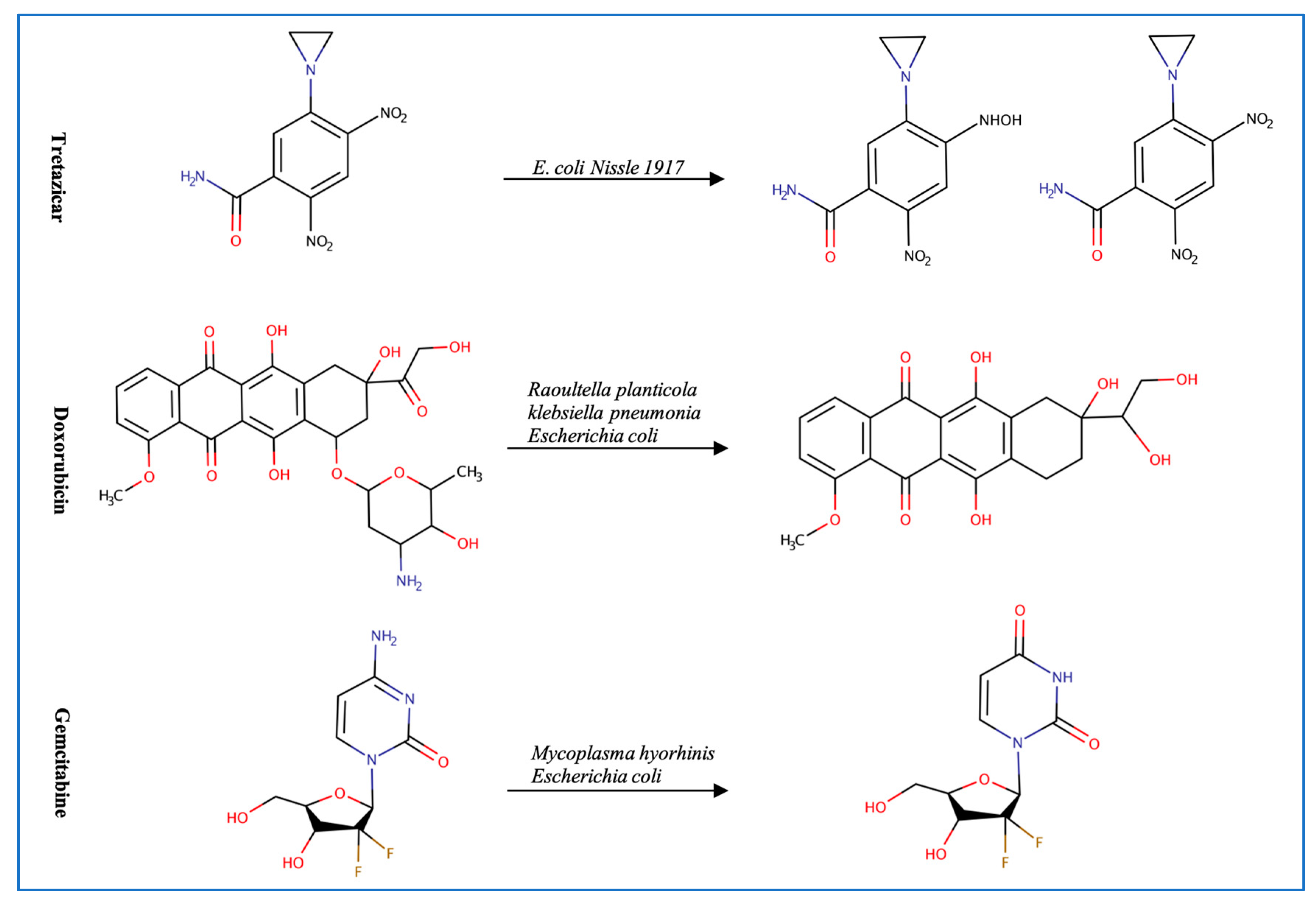 Metabolites 13 00674 g003 Metabolites 13 00674 g003