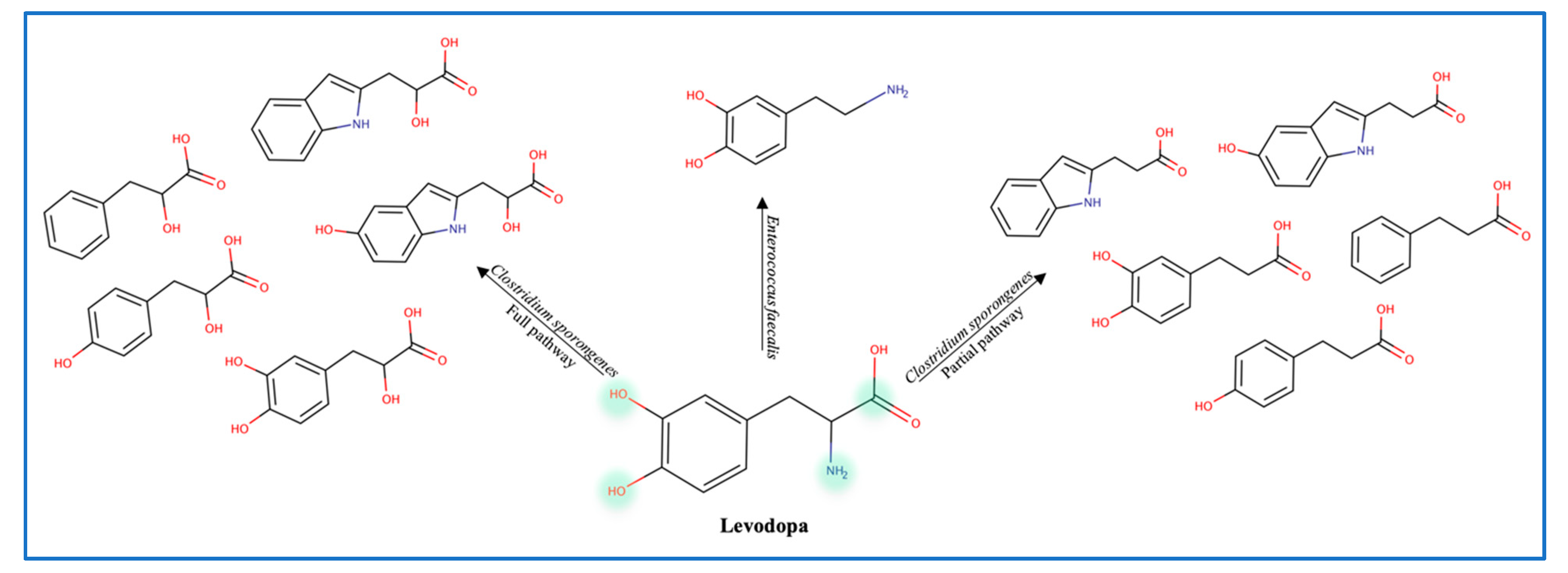 Metabolites 13 00674 g005 Metabolites 13 00674 g005