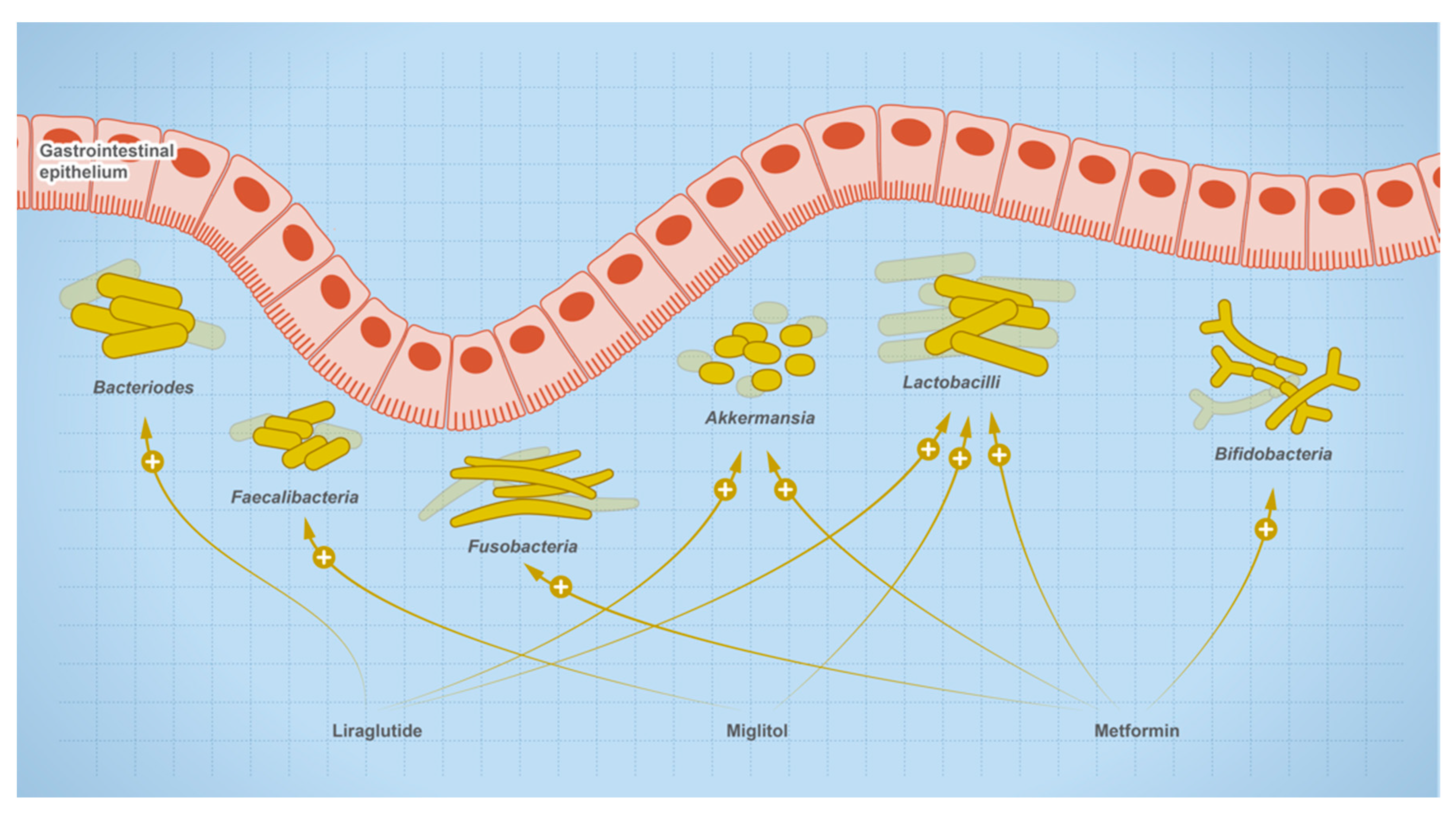 Metabolites 13 00674 g008 Metabolites 13 00674 g008