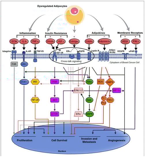 Metabolites 13 00675 g005