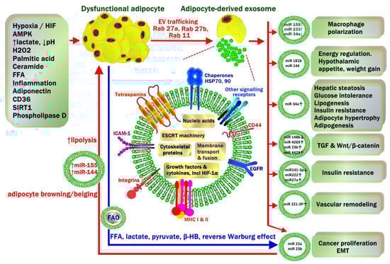 Metabolites 13 00675 g007