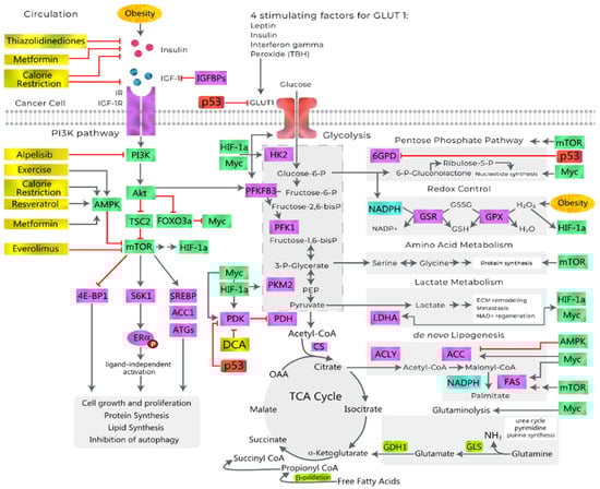 Metabolites 13 00675 g009