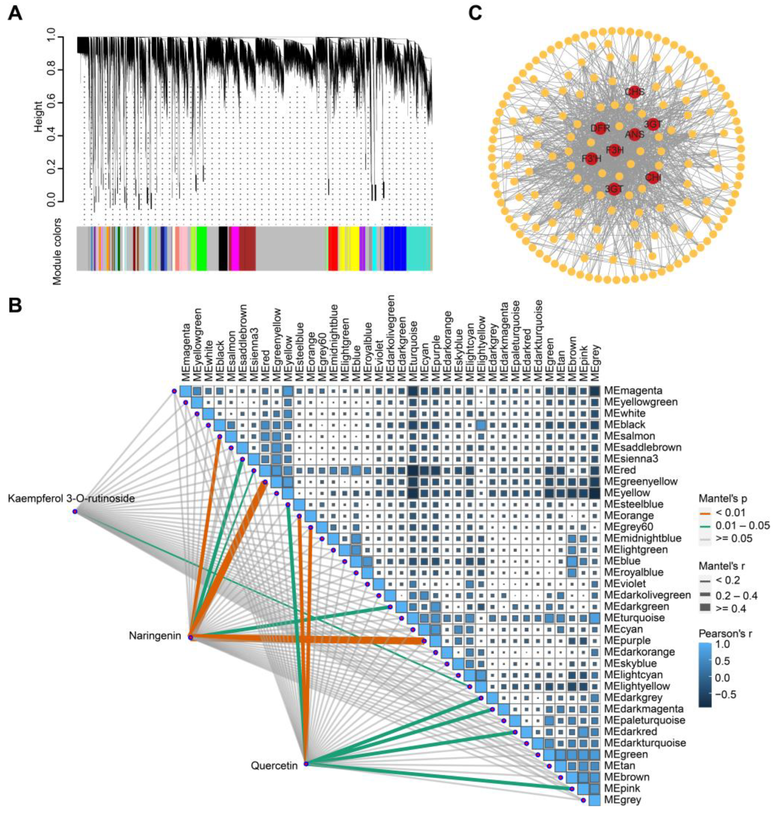 Metabolites 13 00680 g004