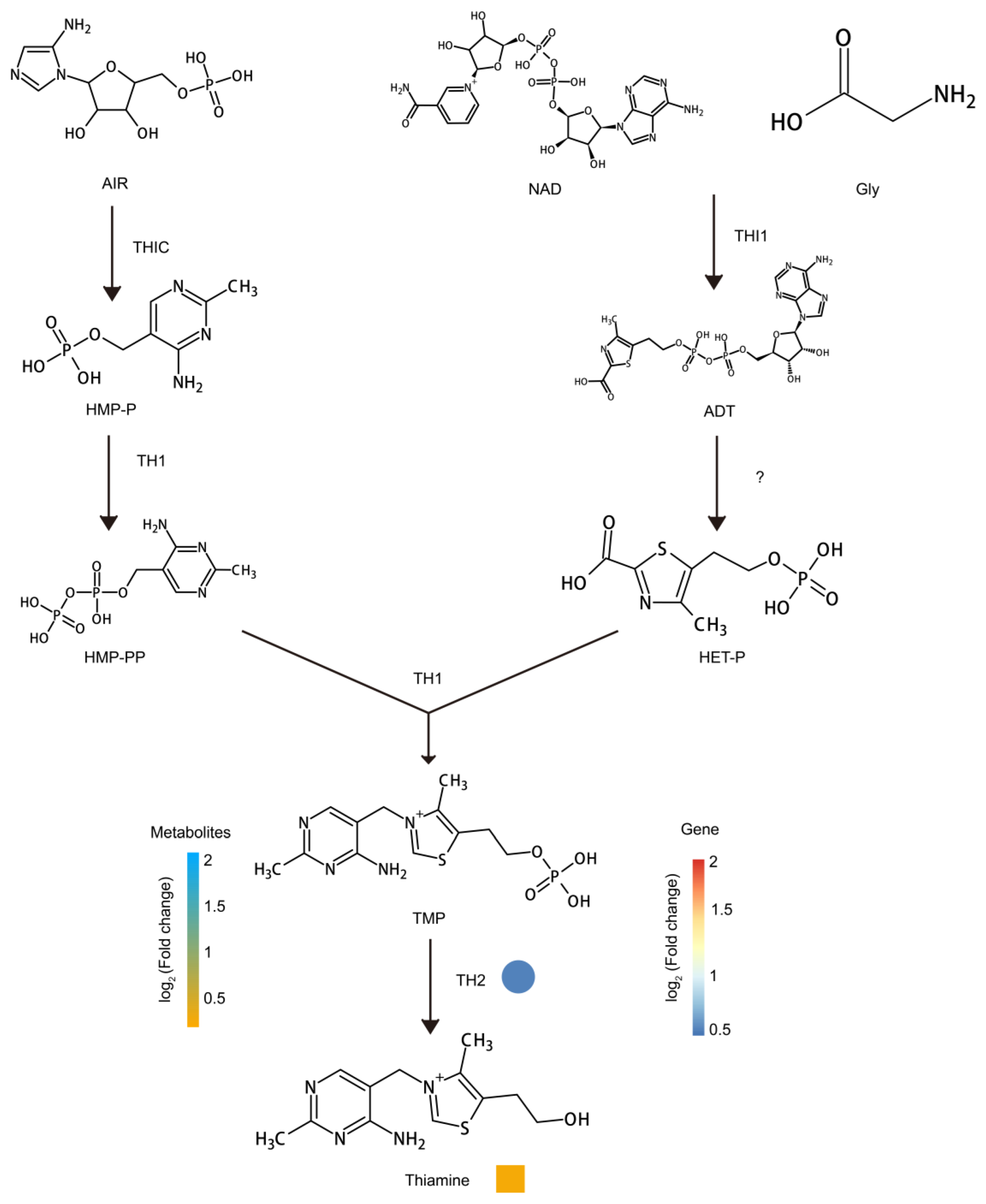 Metabolites 13 00680 g006