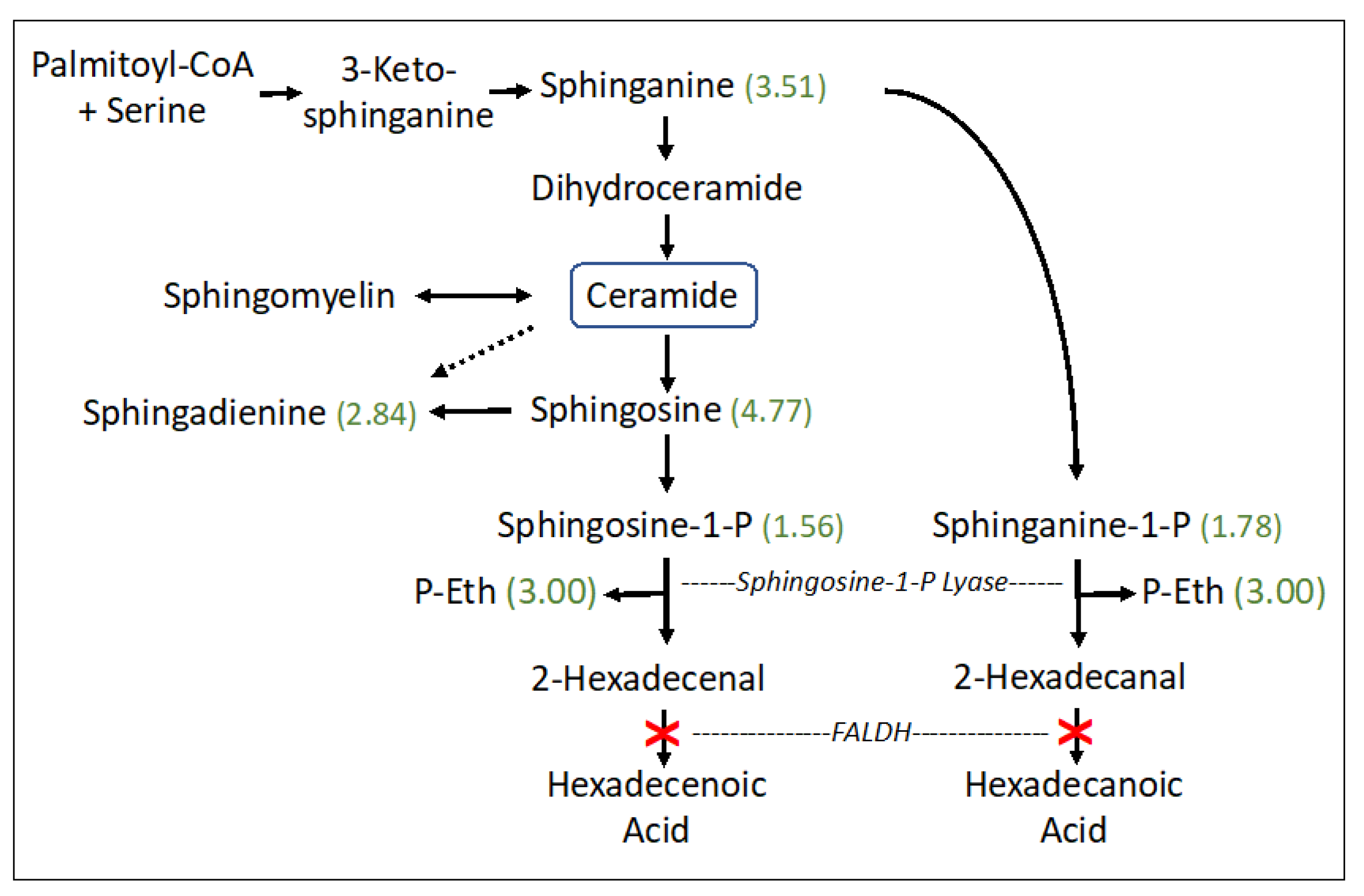 Metabolites 13 00682 g002
