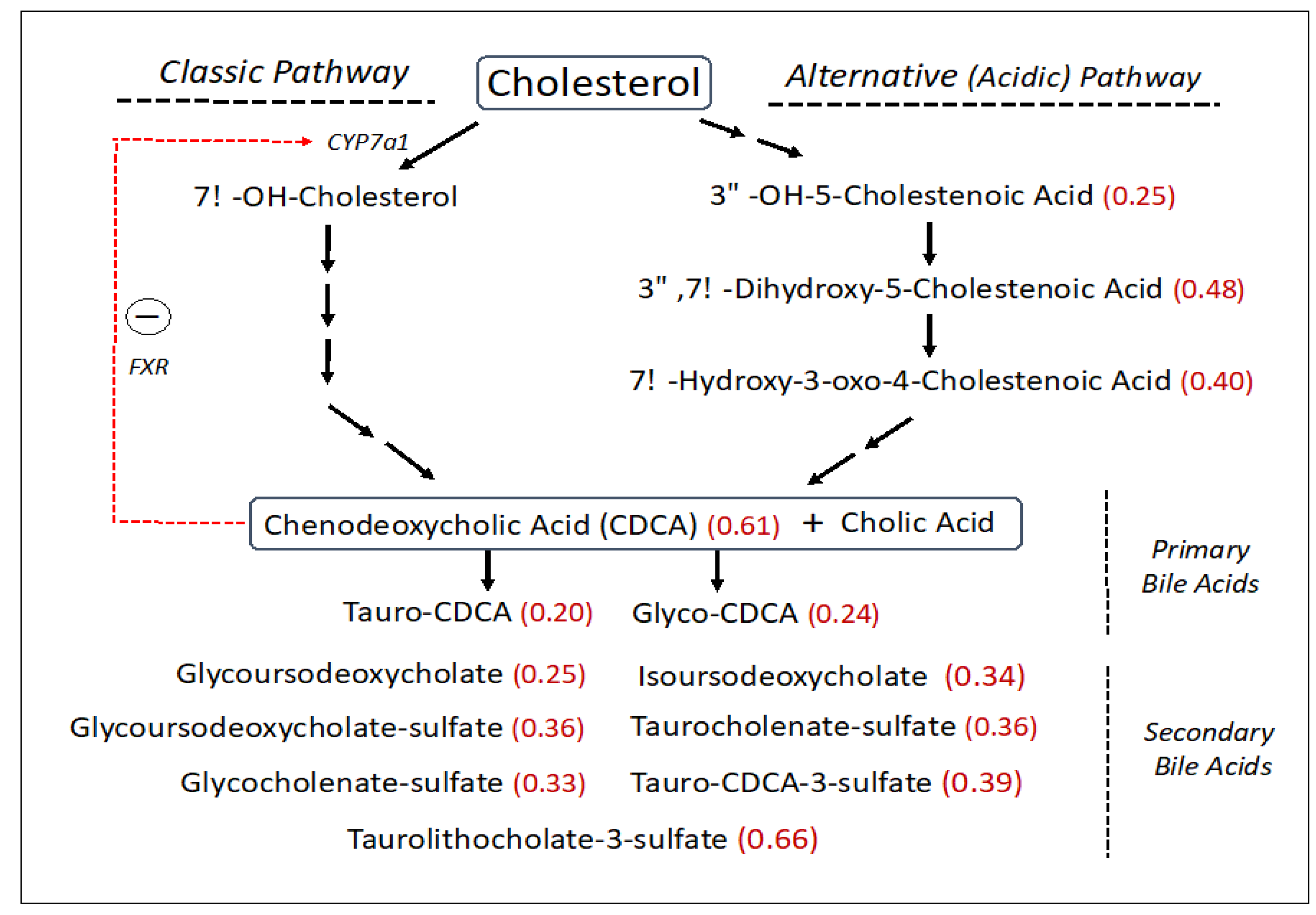 Metabolites 13 00682 g003