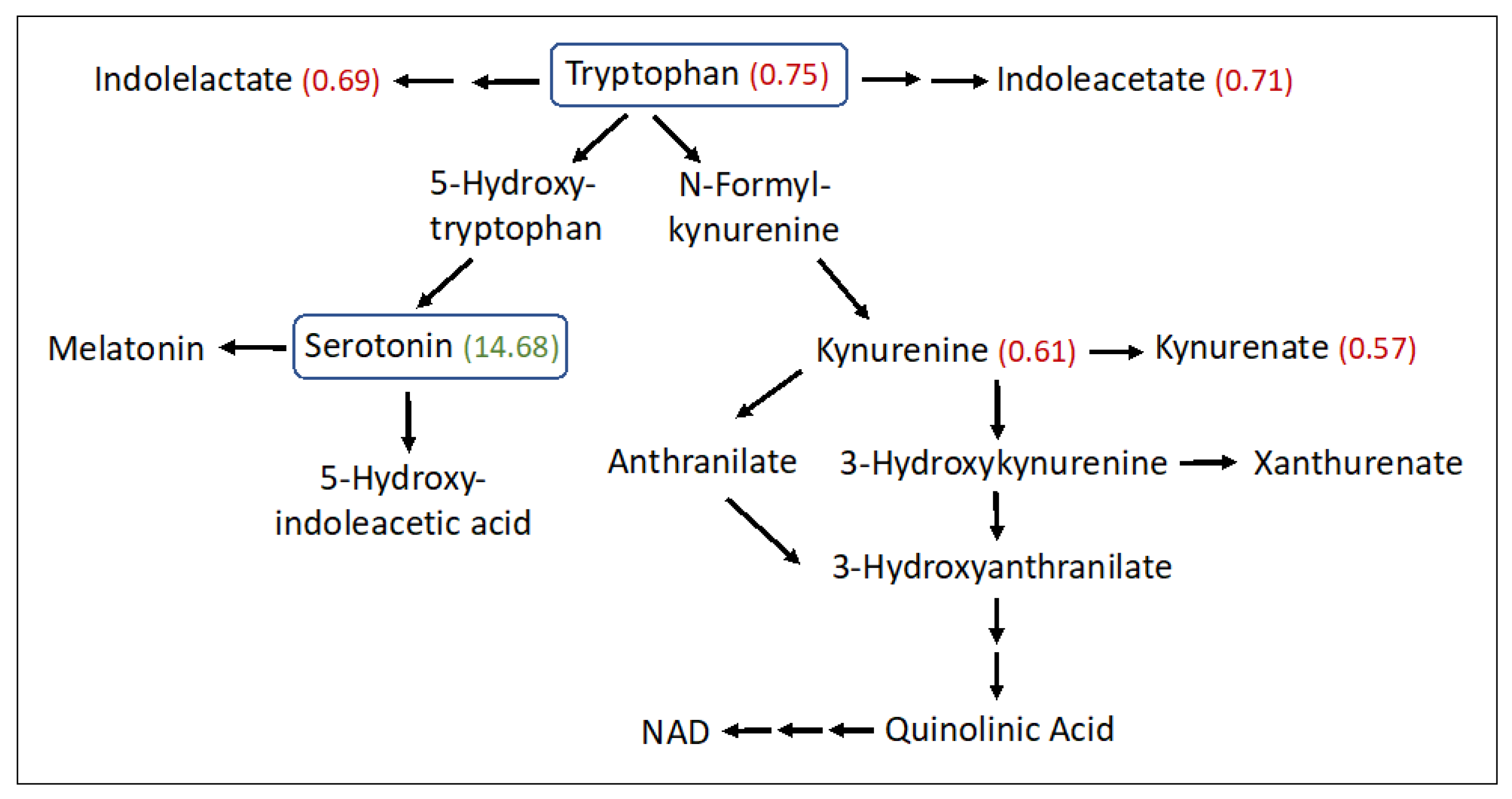 Metabolites 13 00682 g004