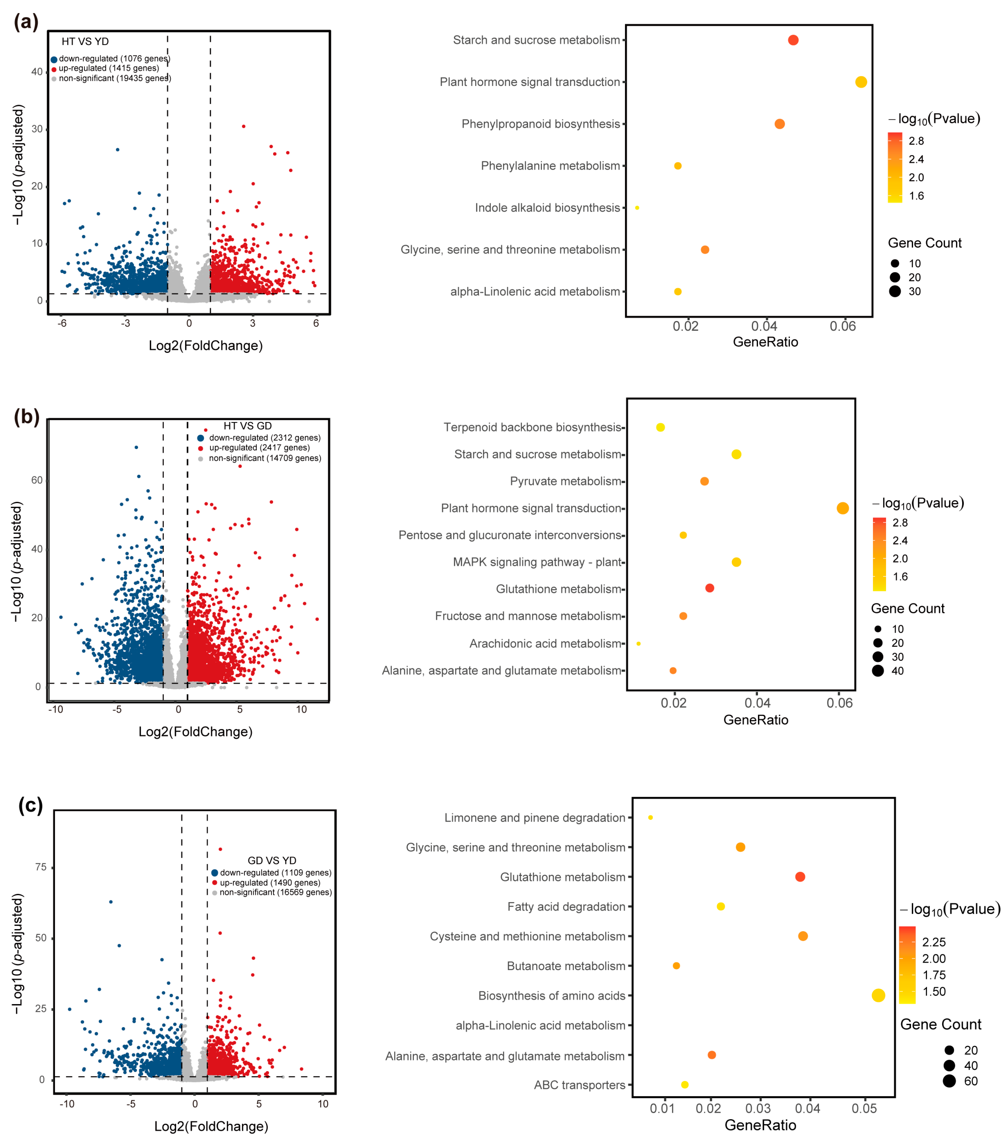 Metabolites 13 00683 g002