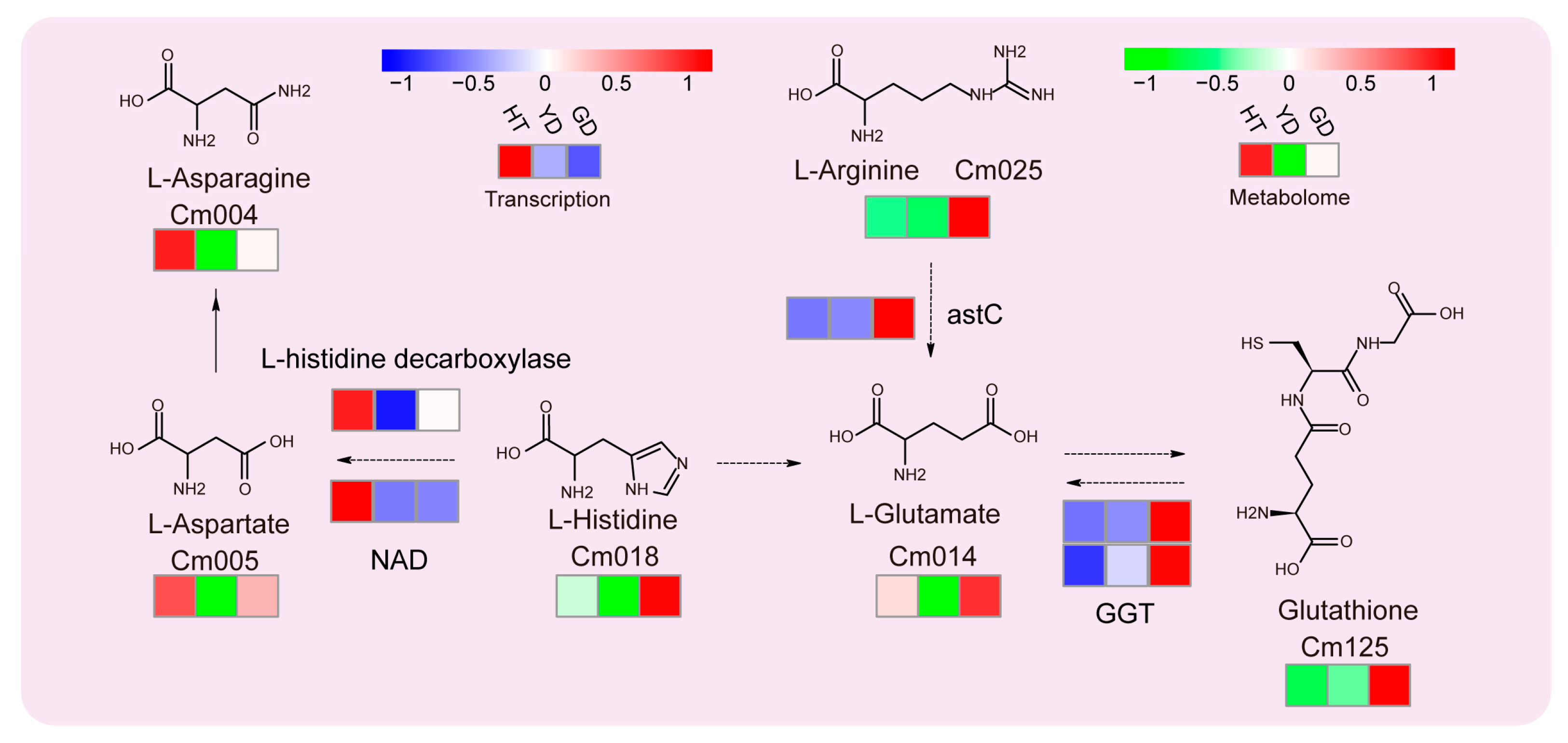 Metabolites 13 00683 g003