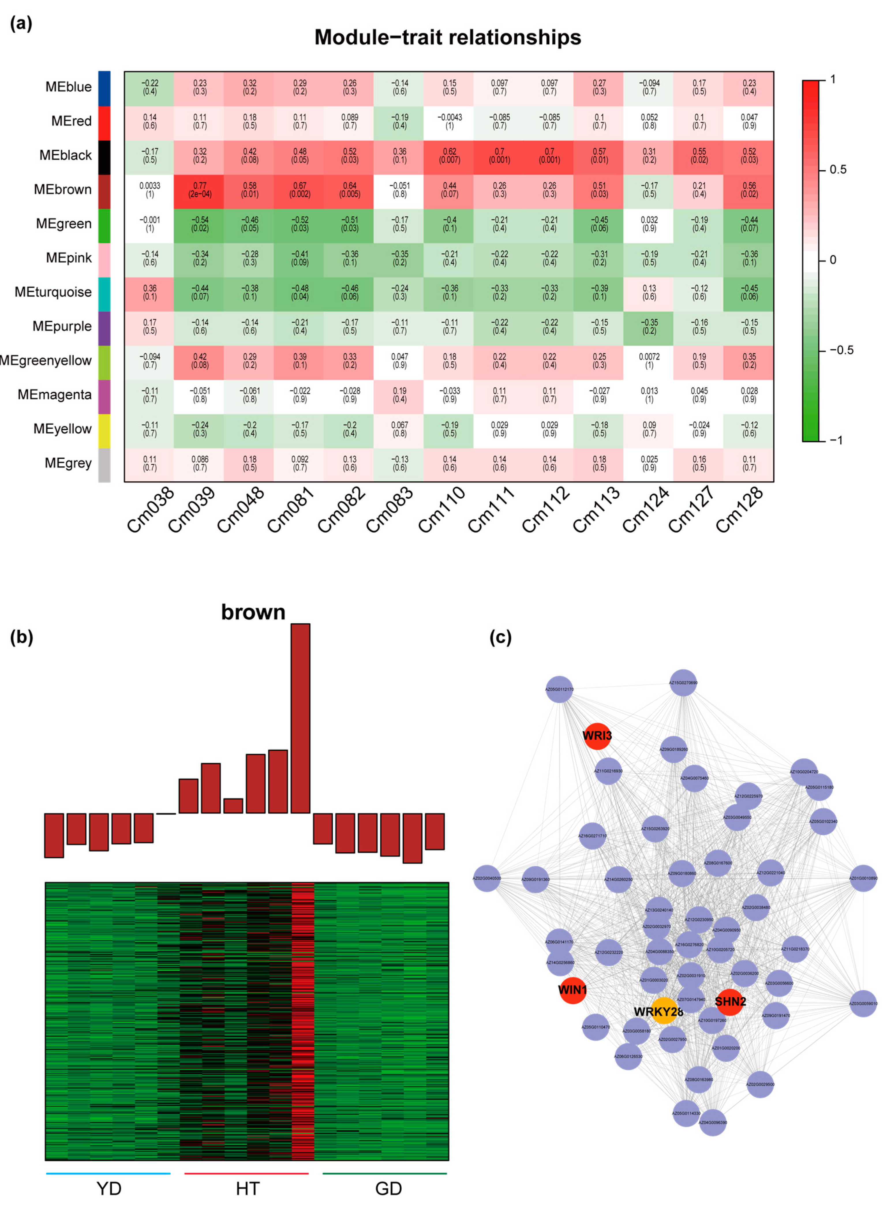 Metabolites 13 00683 g005
