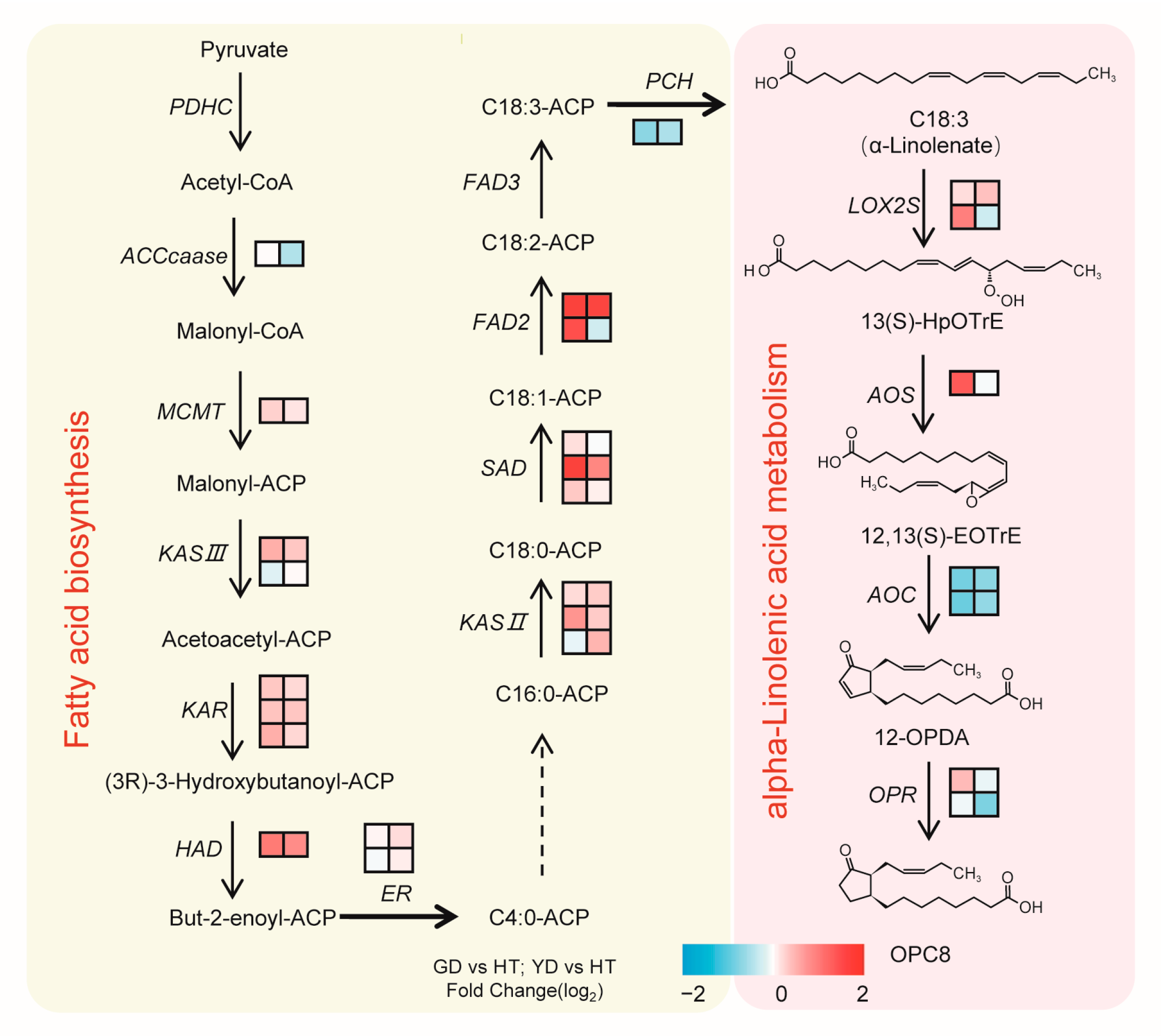 Metabolites 13 00683 g006