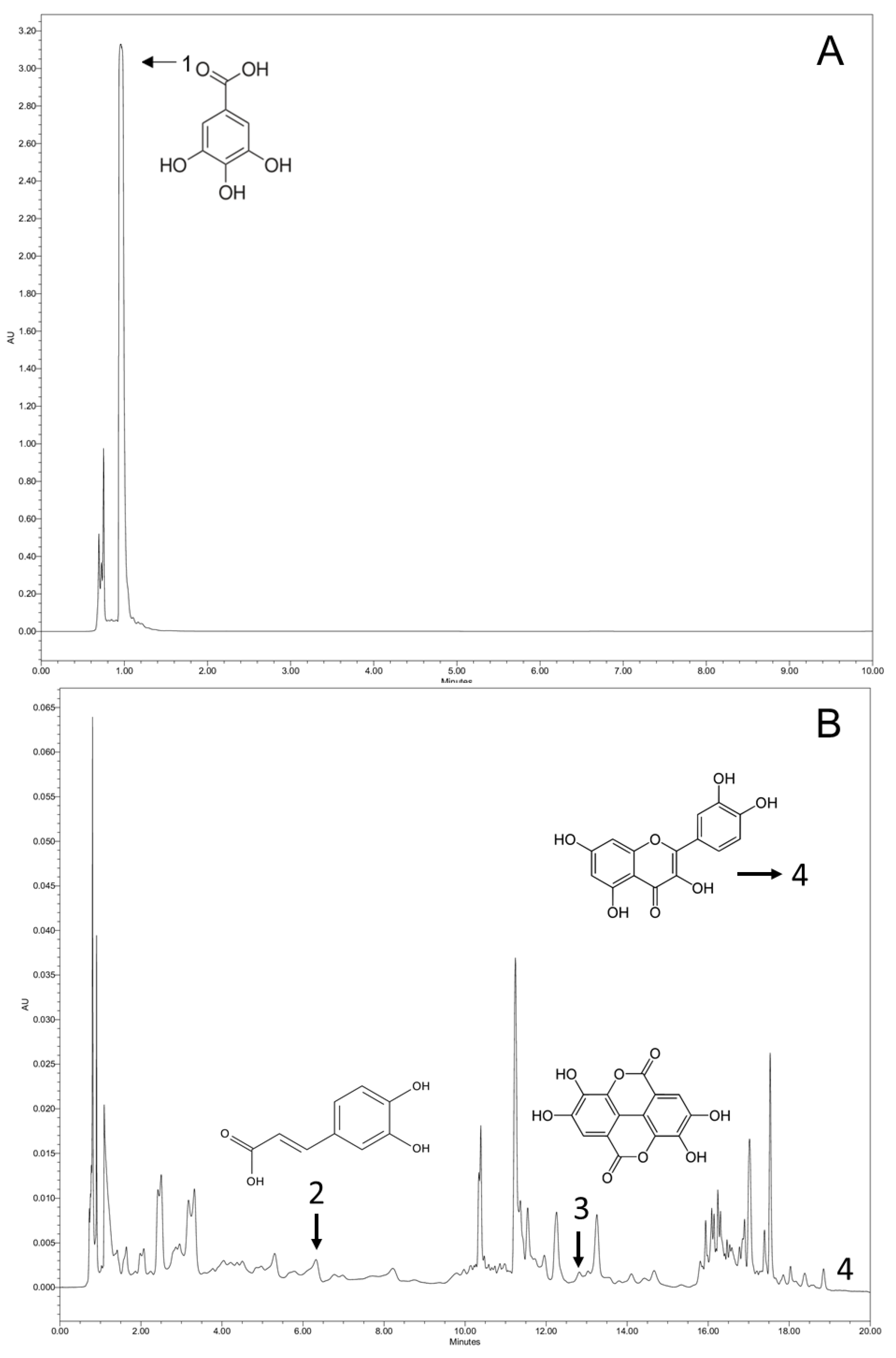 Metabolites 13 00684 g003