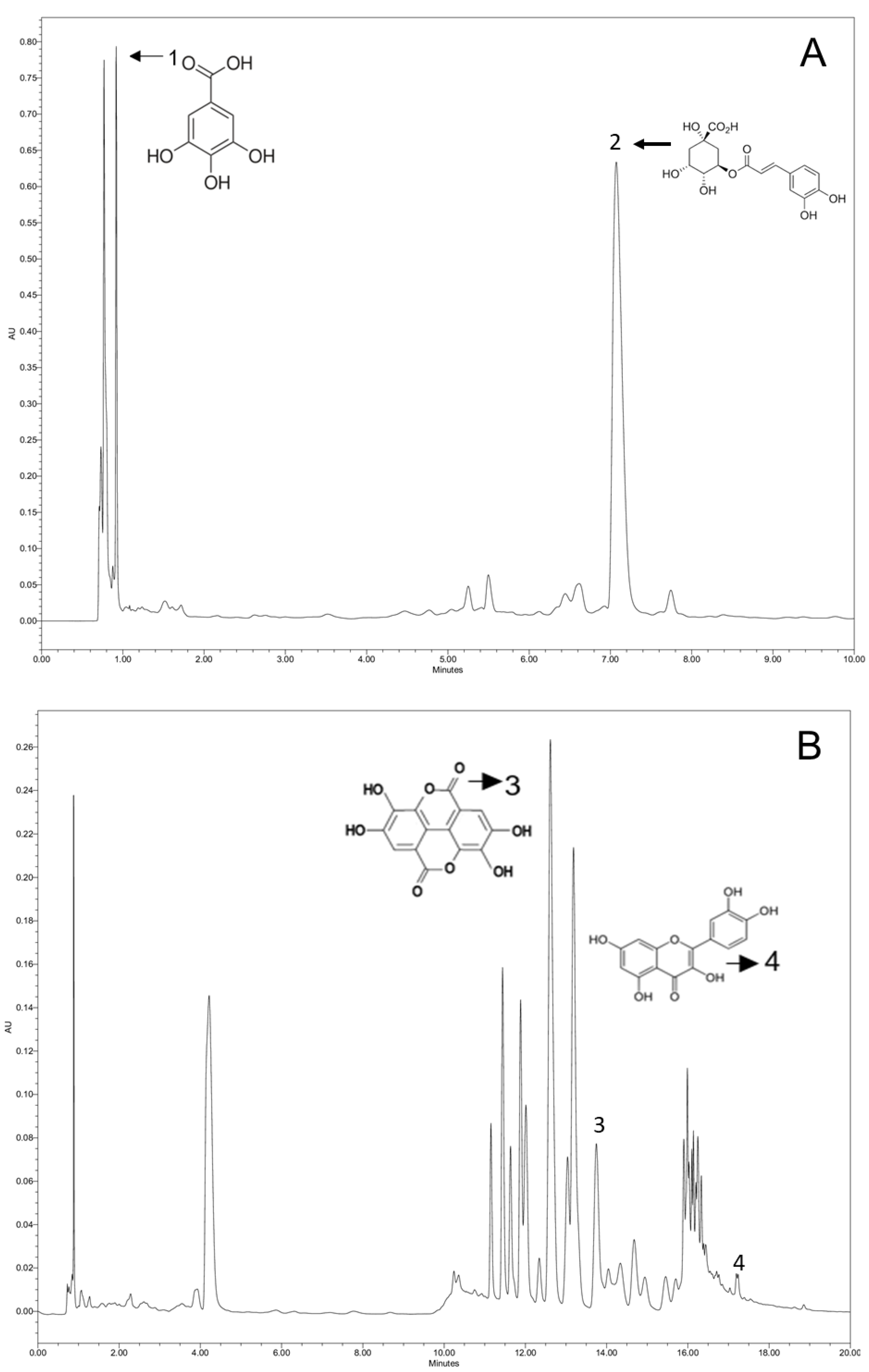 Metabolites 13 00691 g001