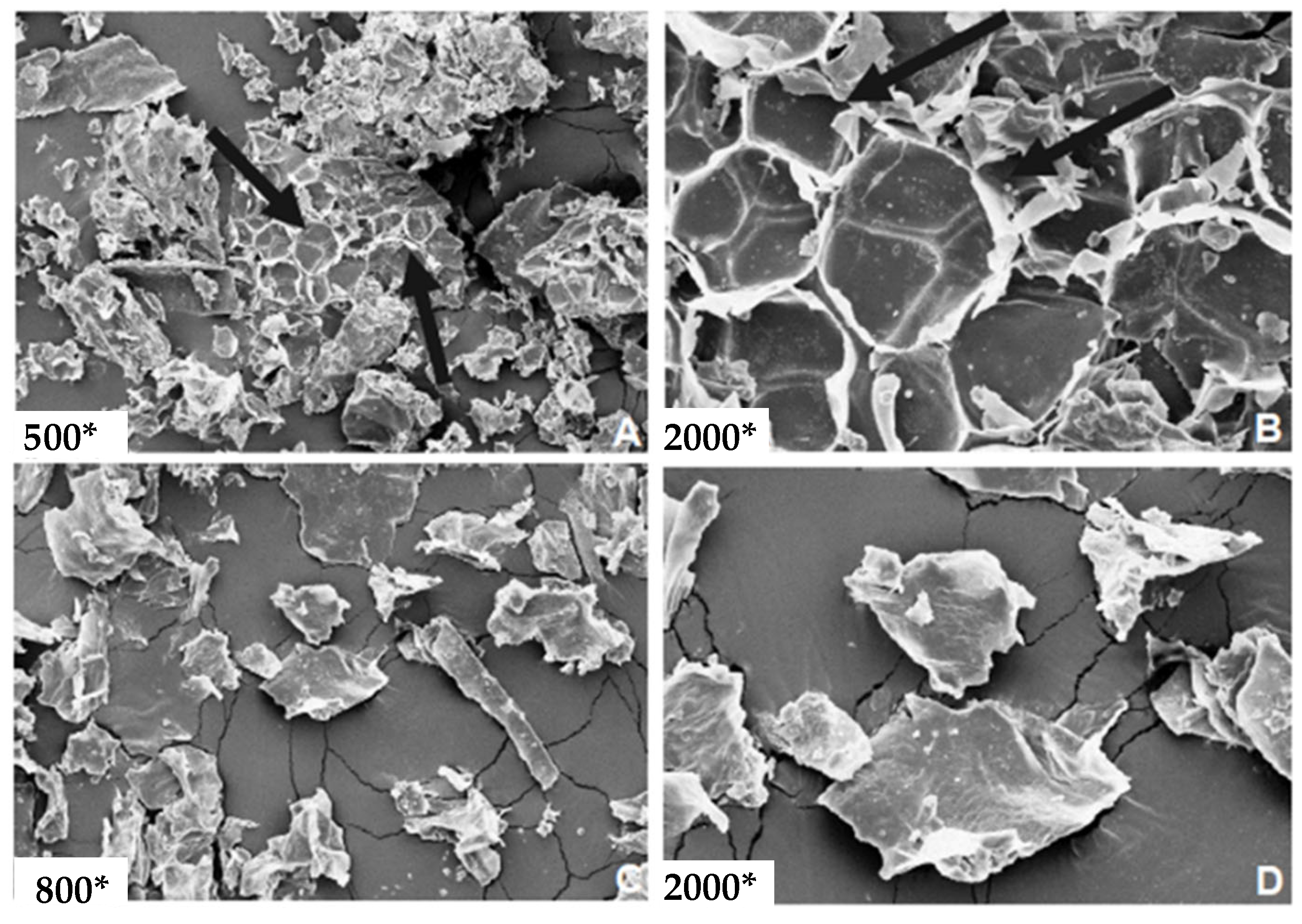 Metabolites 13 00691 g003