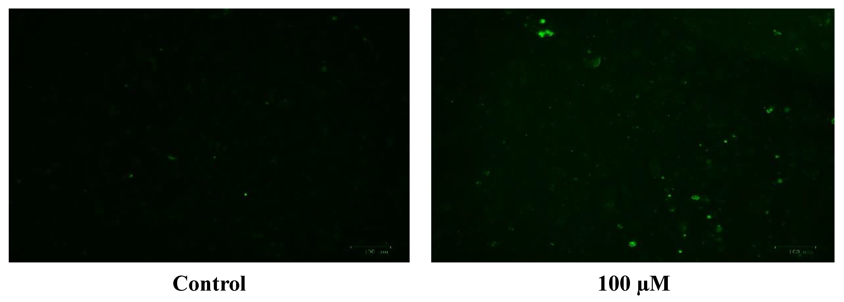 Metabolites 13 00698 g010a
