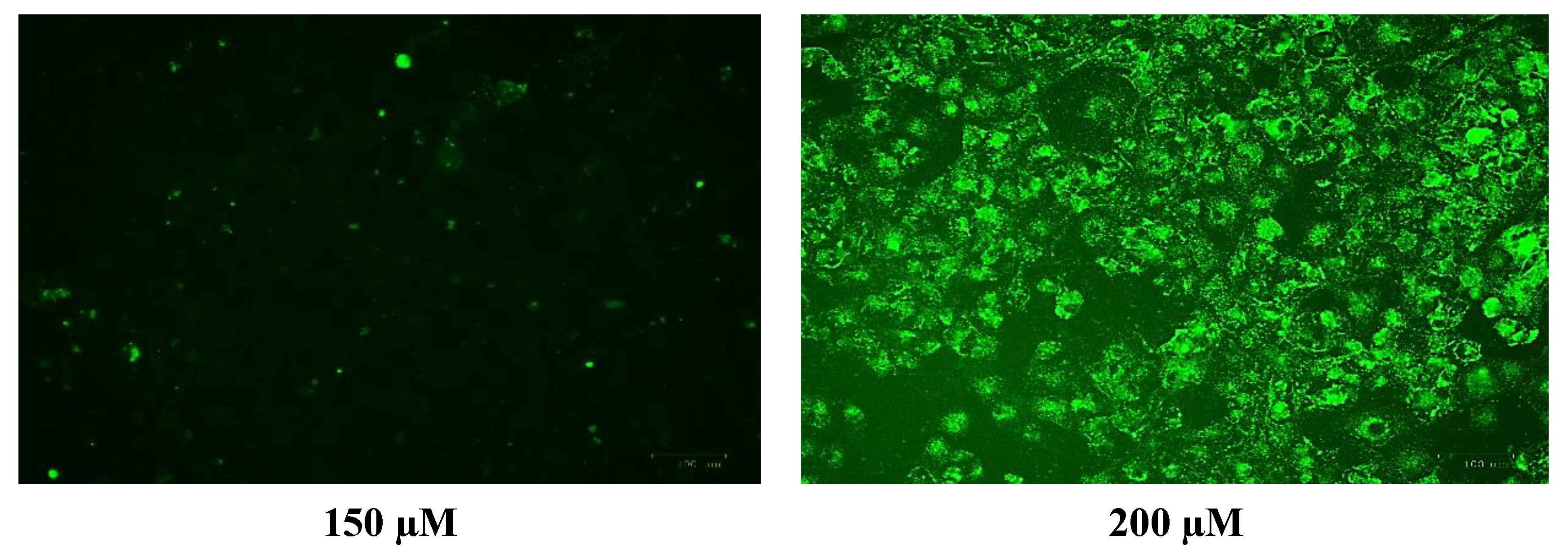 Metabolites 13 00698 g010b