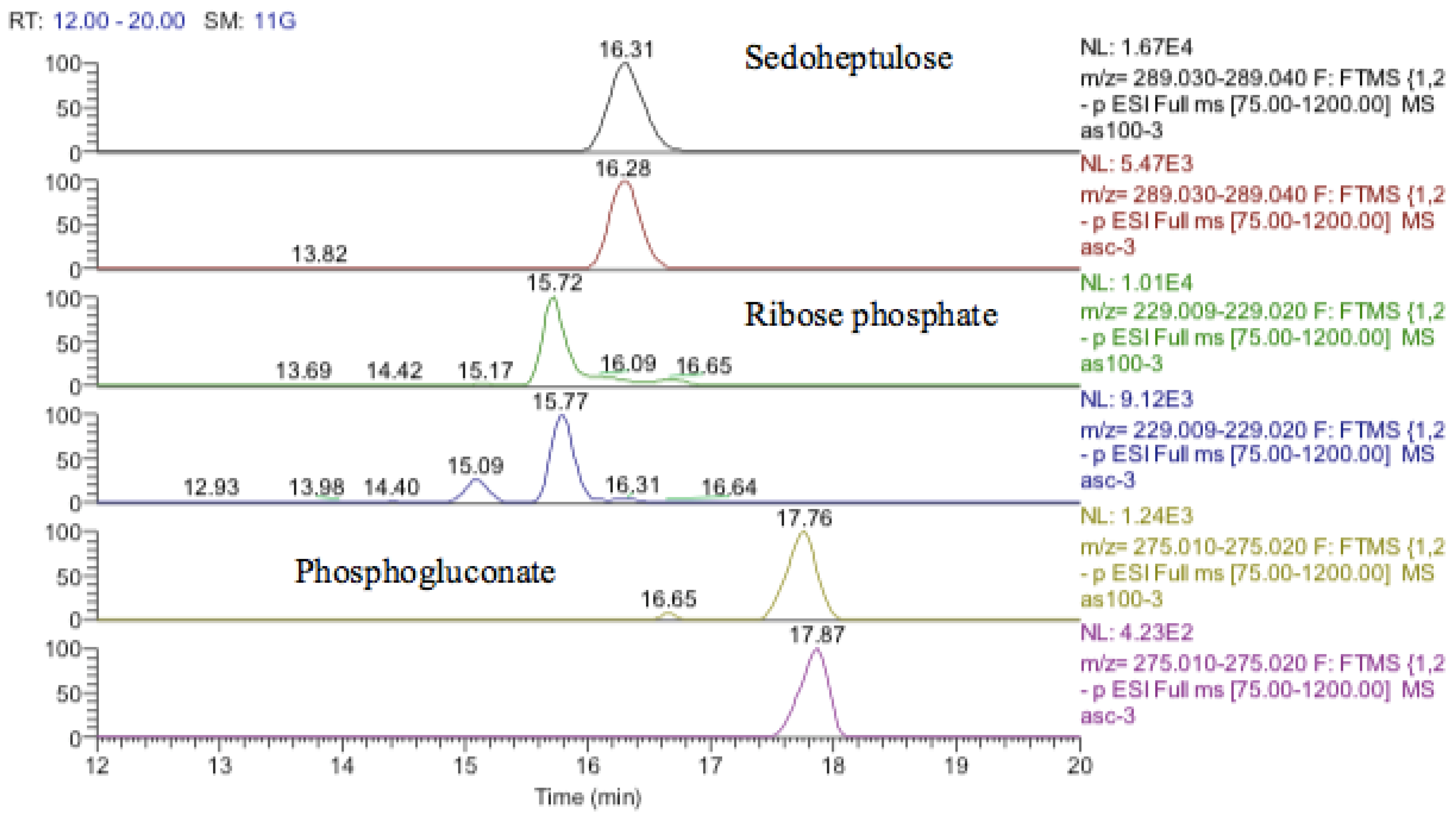 Metabolites 13 00698 g019