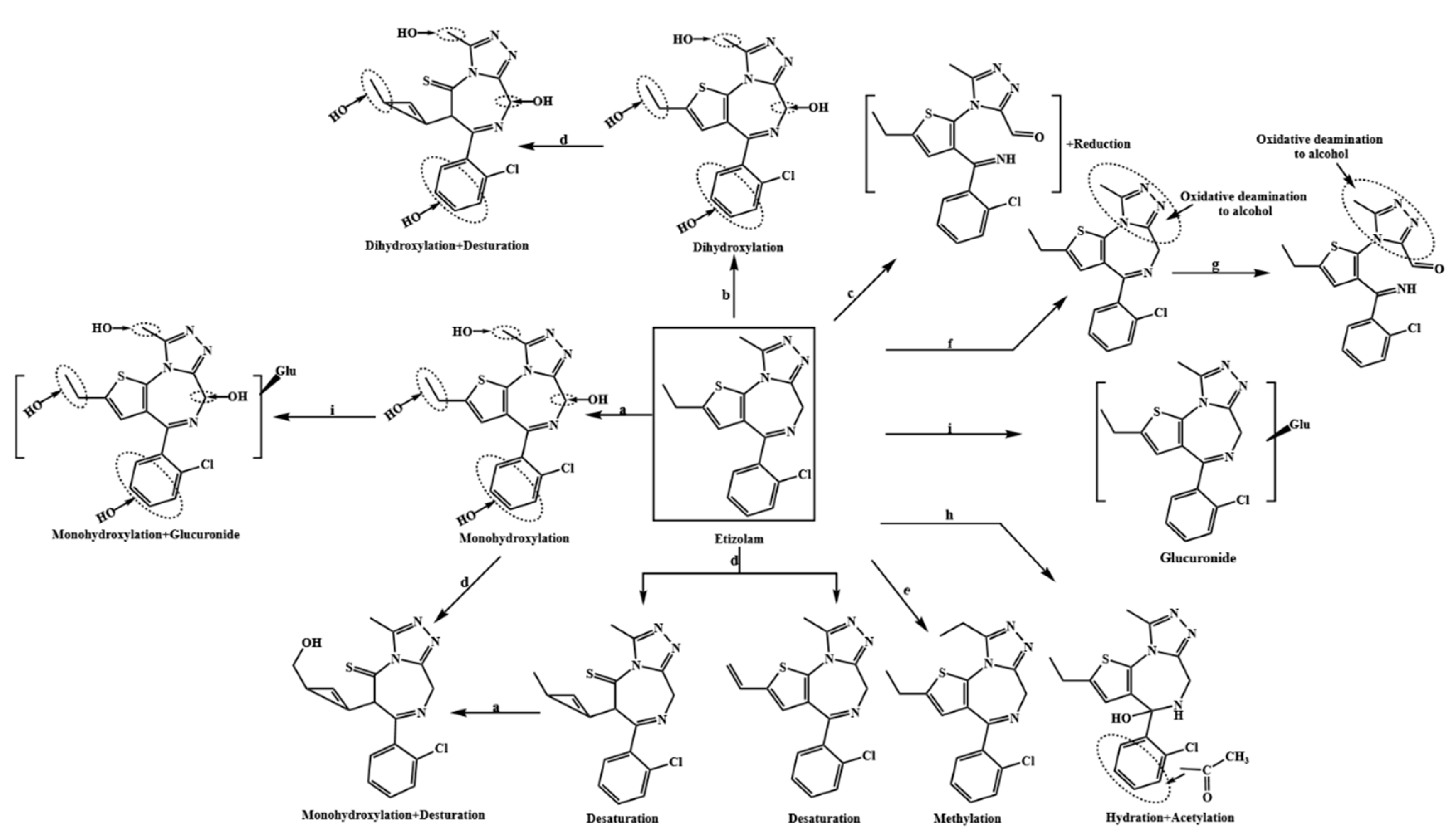 Metabolites 13 00699 g003