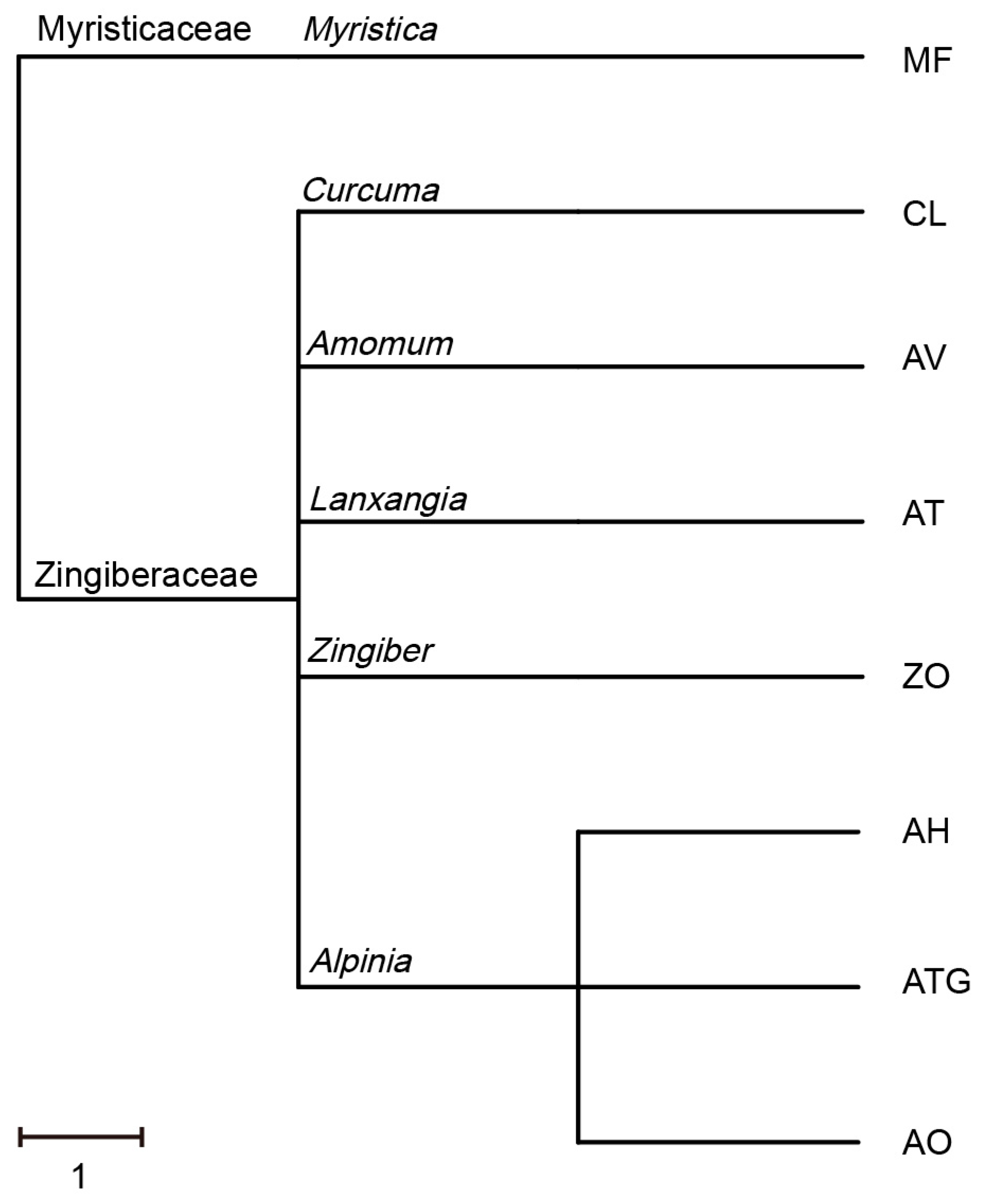 Metabolites 13 00700 g001