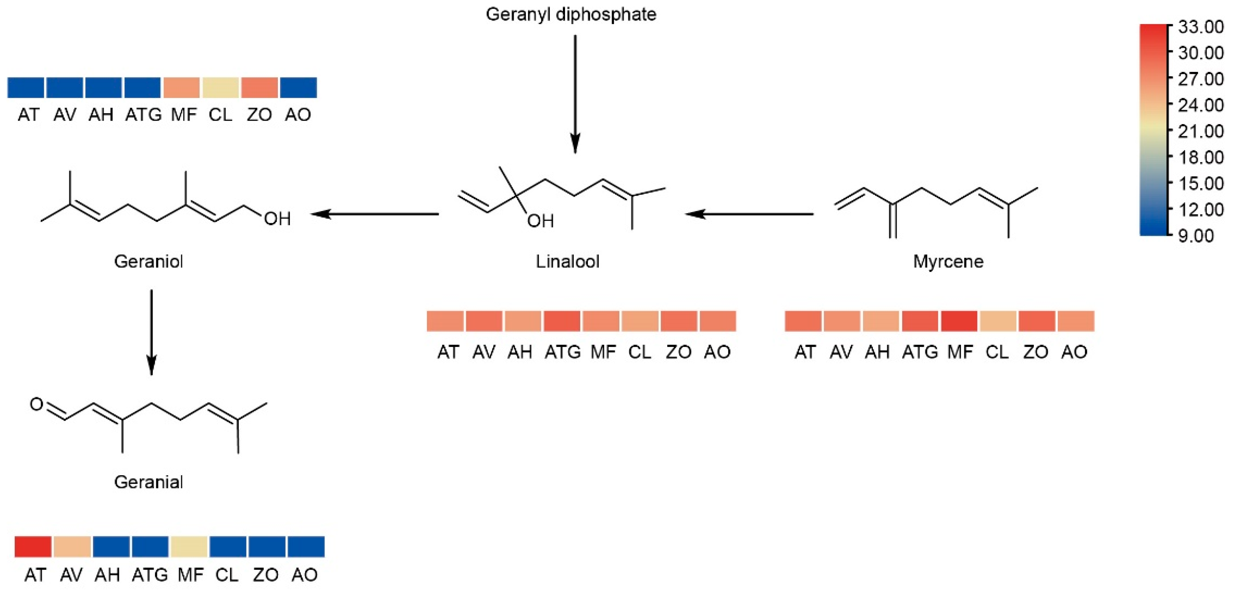 Metabolites 13 00700 g007