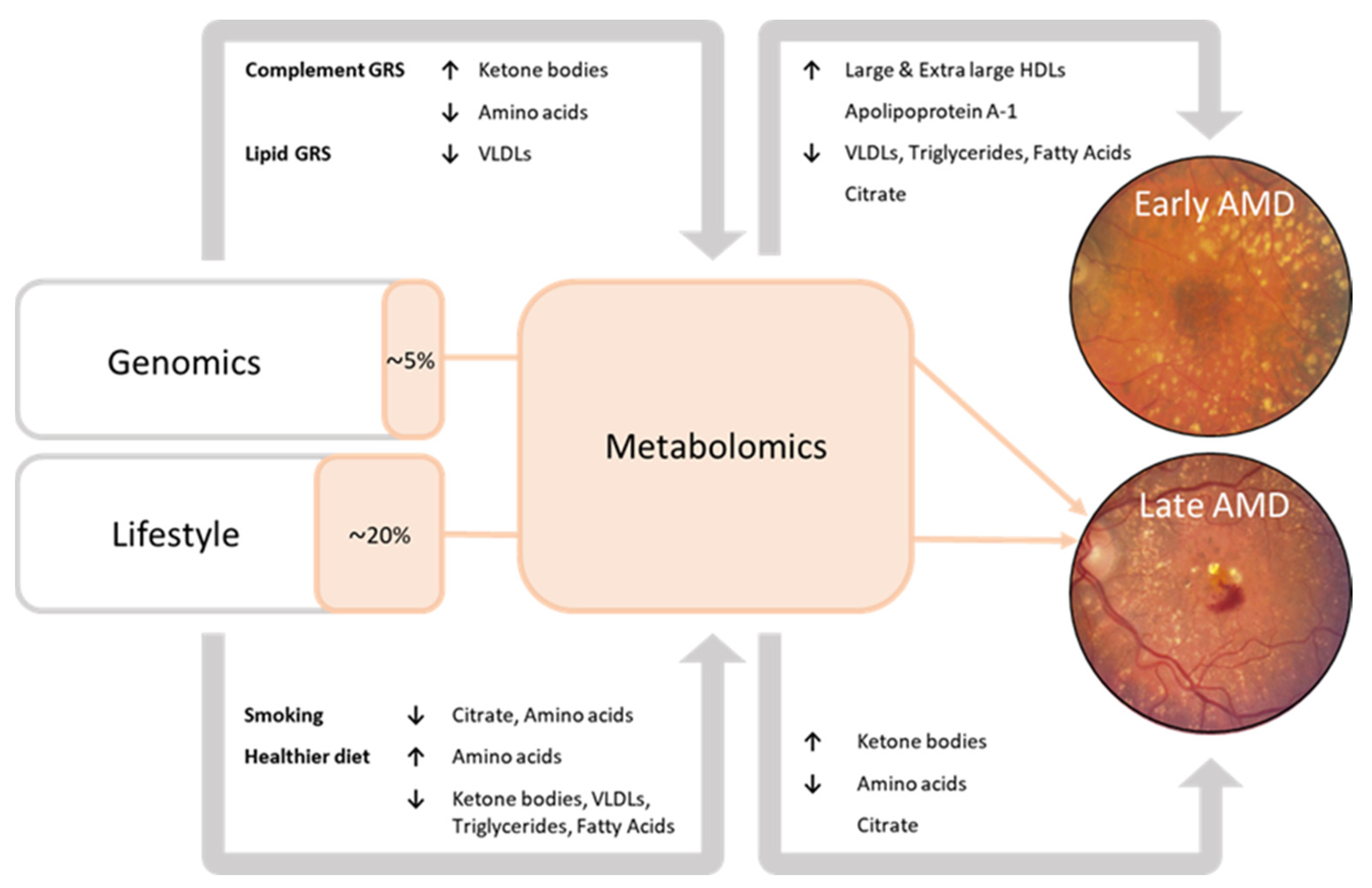 Metabolites 13 00701 g002