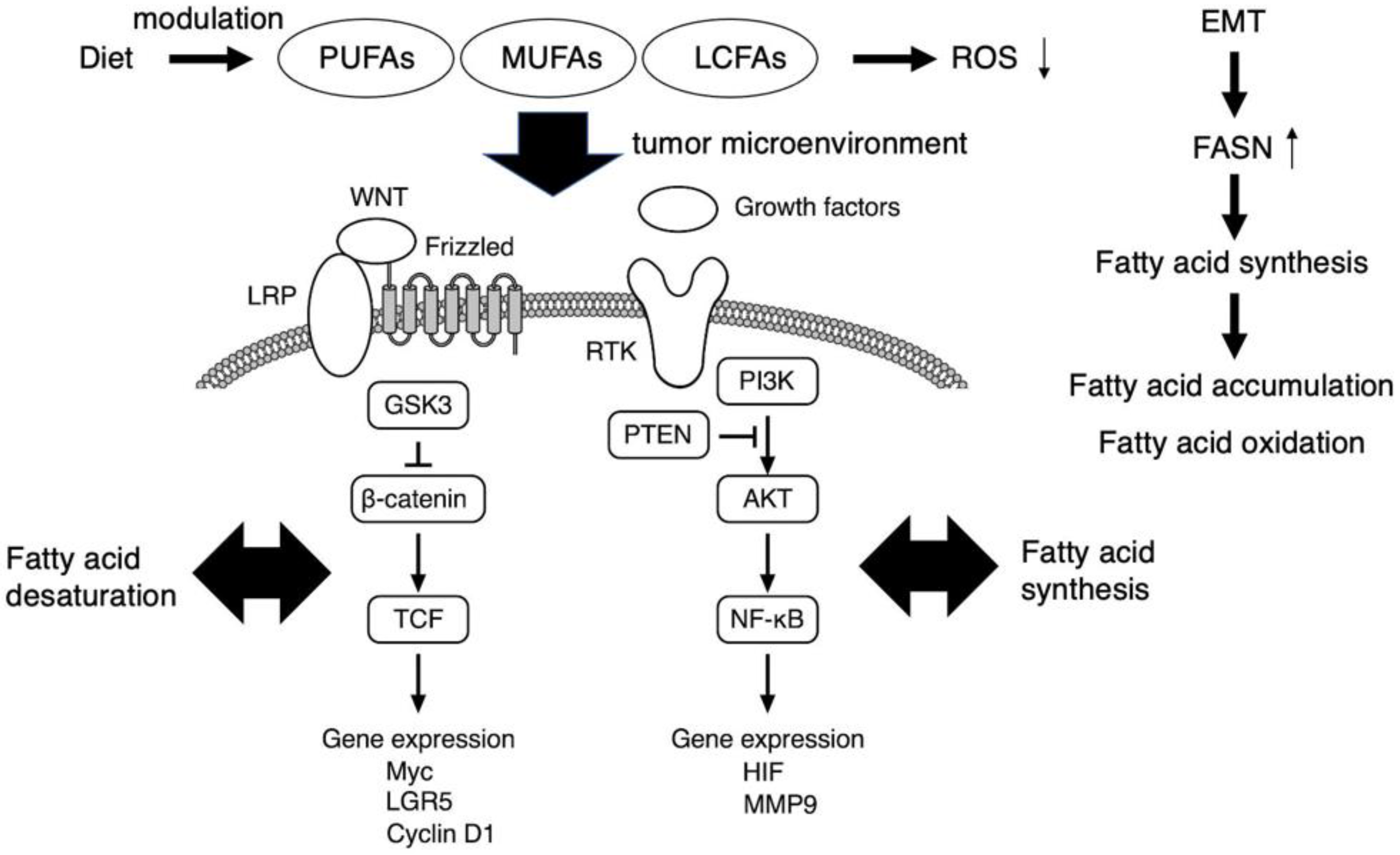 Metabolites 13 00709 g001