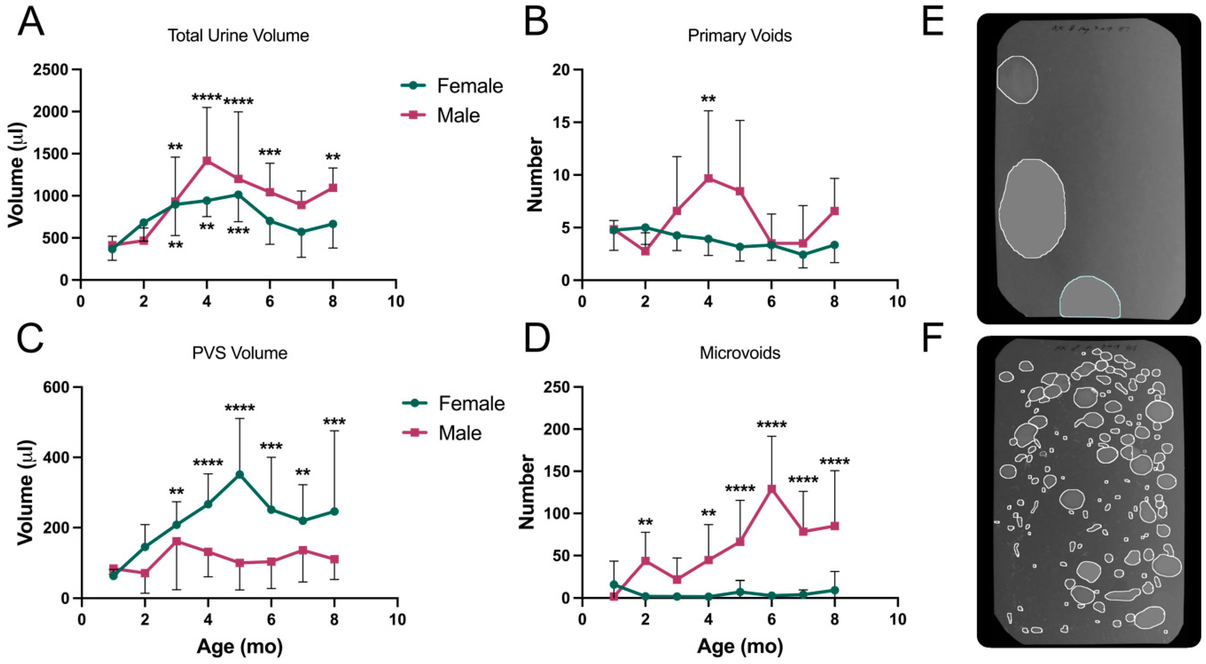 Metabolites 13 00710 g006 Metabolites 13 00710 g006