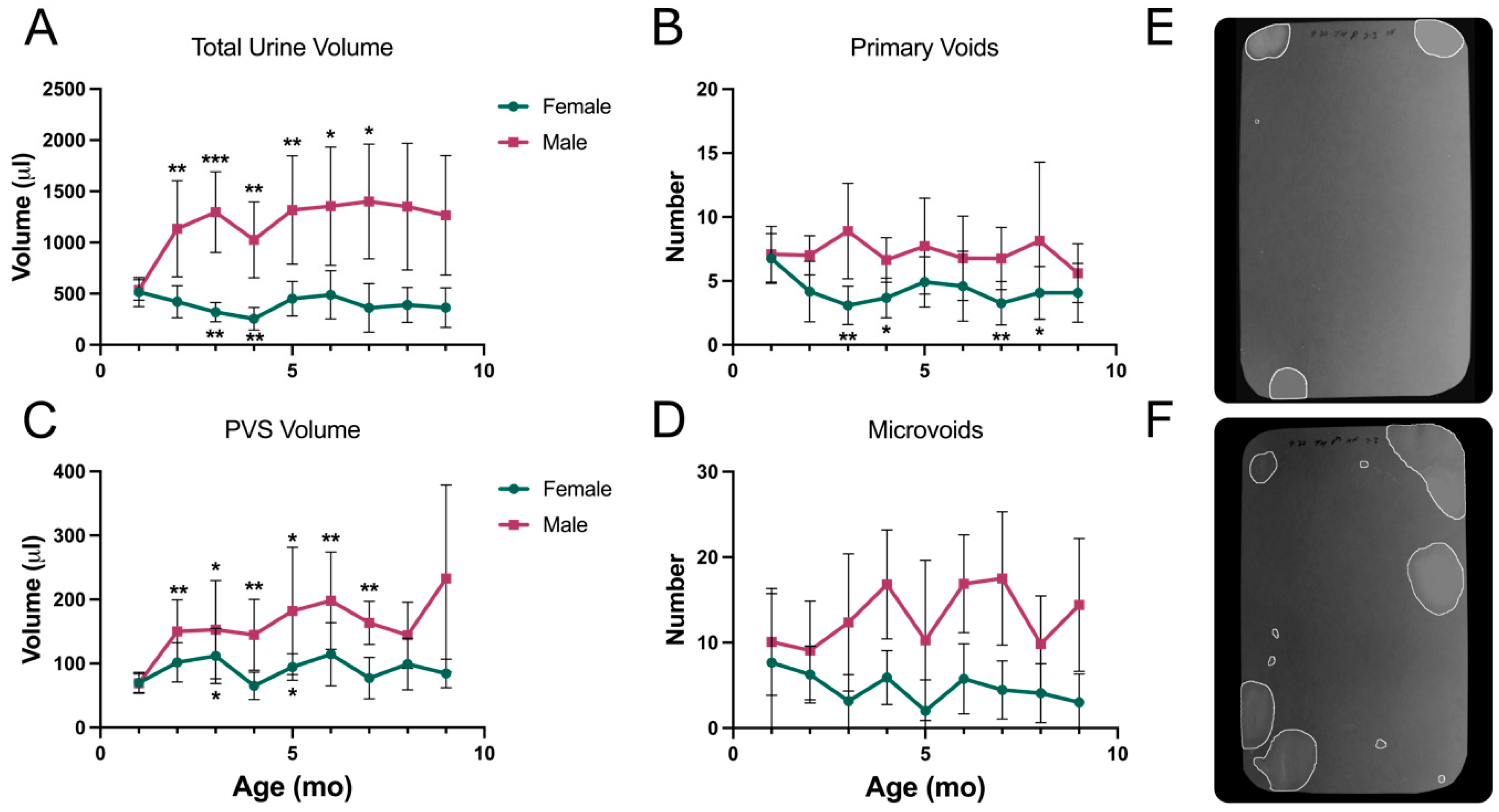 Metabolites 13 00710 g008 Metabolites 13 00710 g008