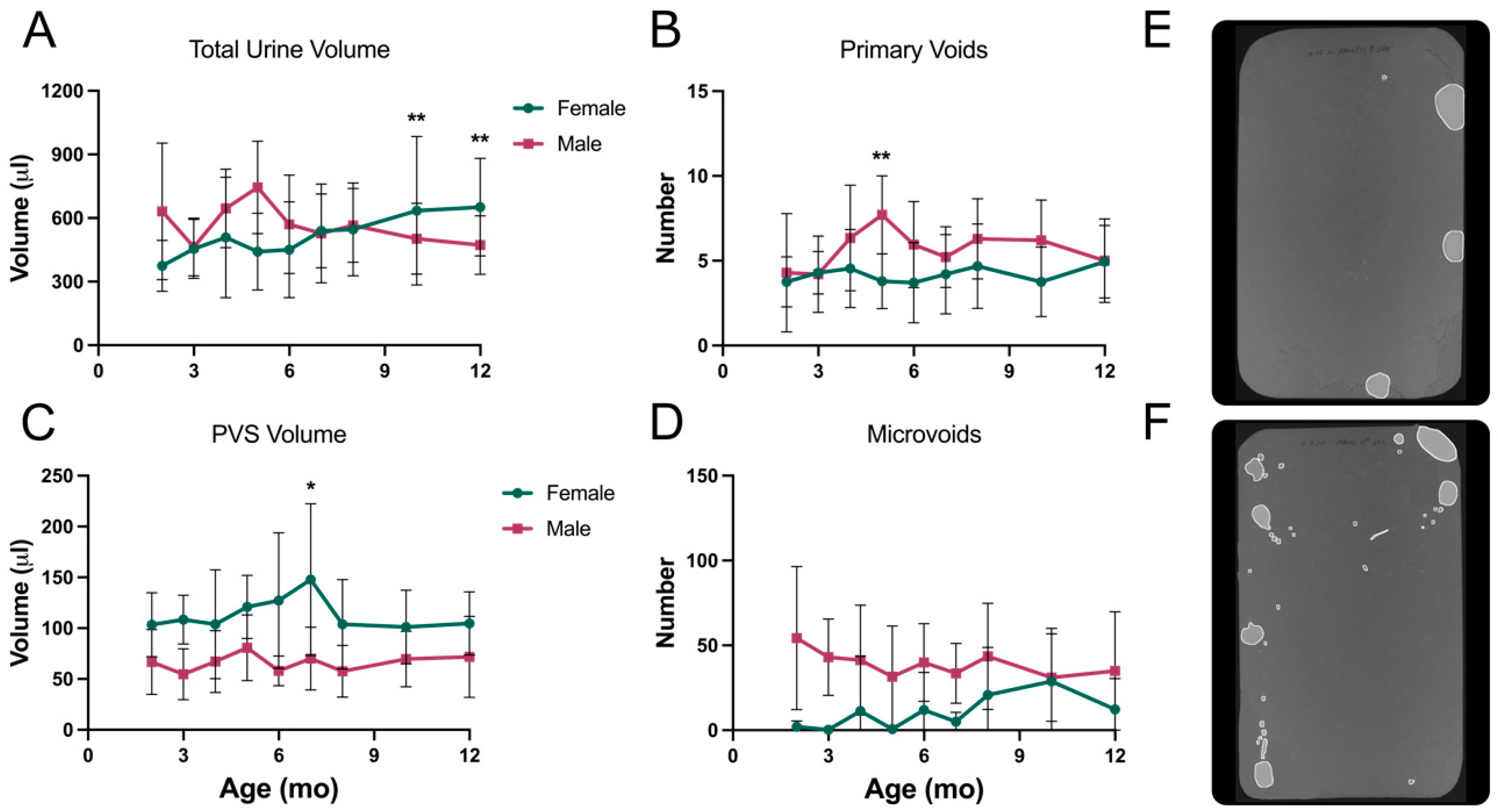 Metabolites 13 00710 g009 Metabolites 13 00710 g009