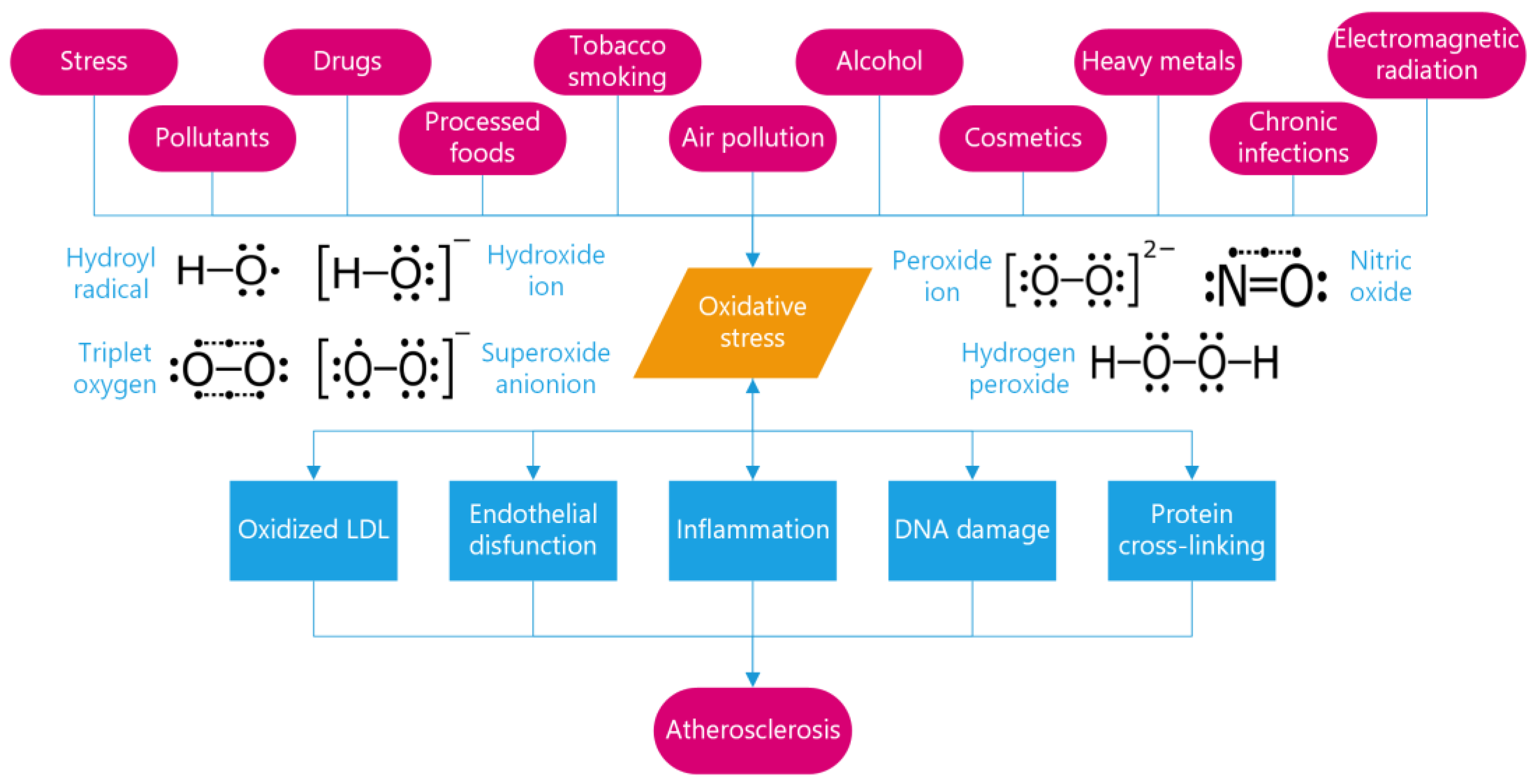 Metabolites 13 00712 g001