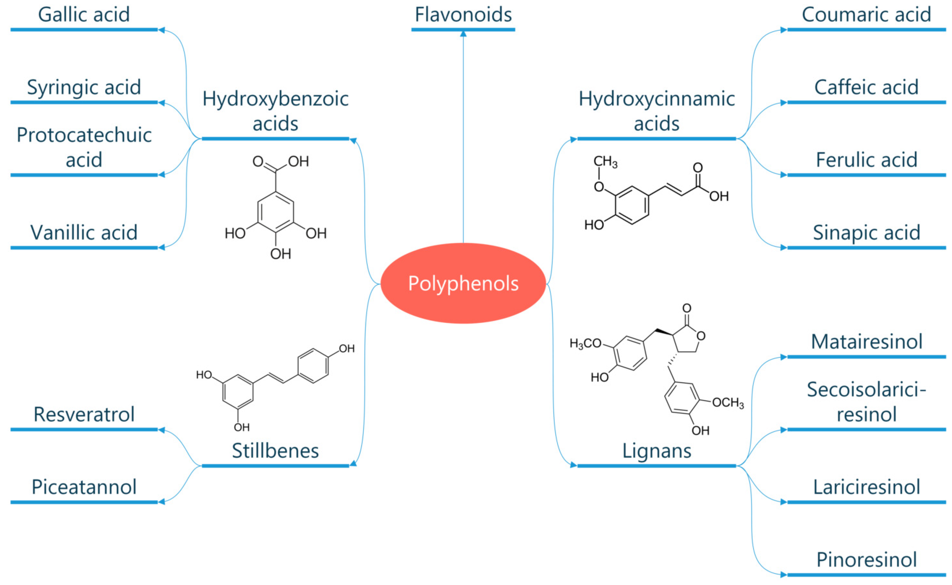 Metabolites 13 00712 g002