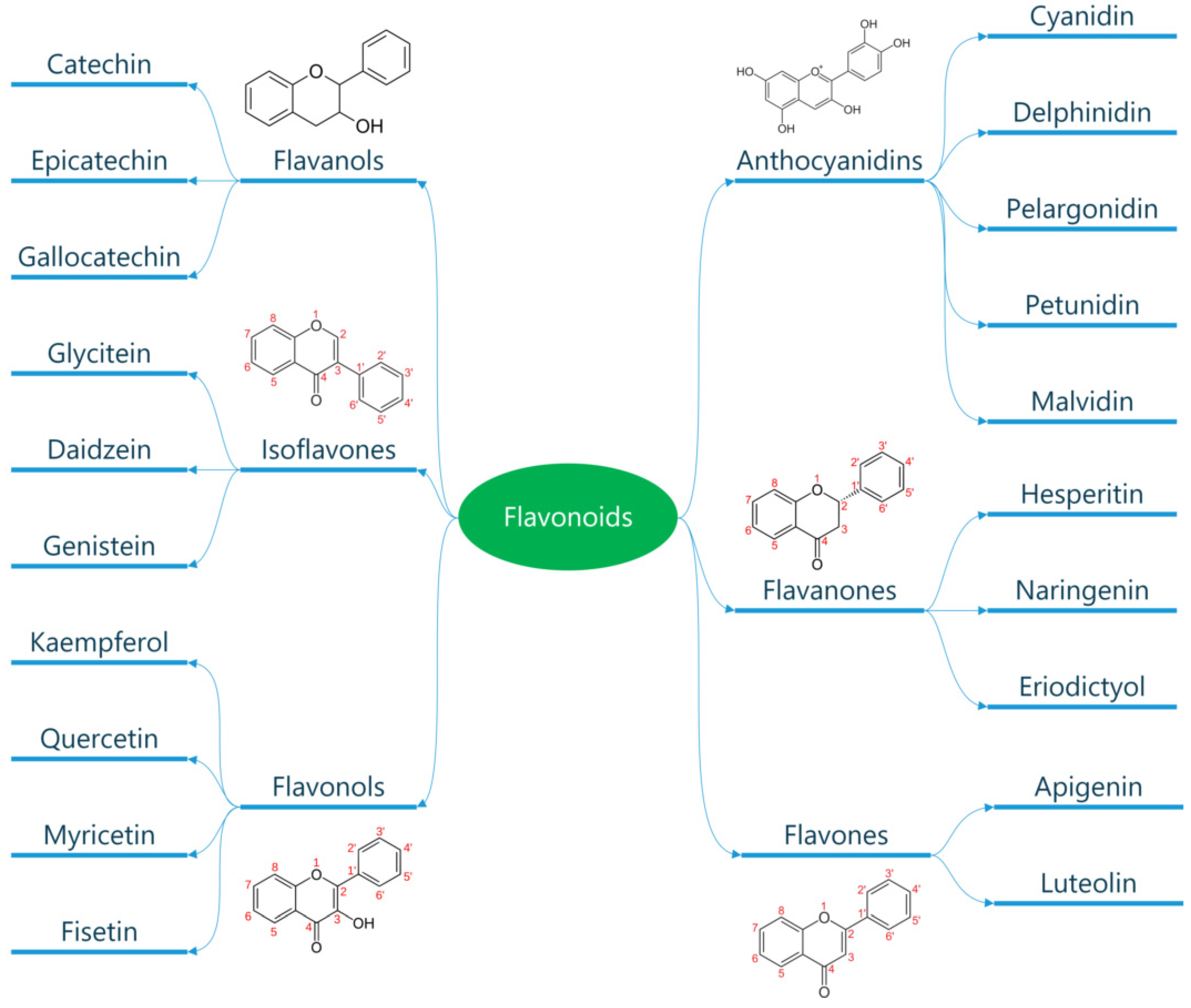 Metabolites 13 00712 g003